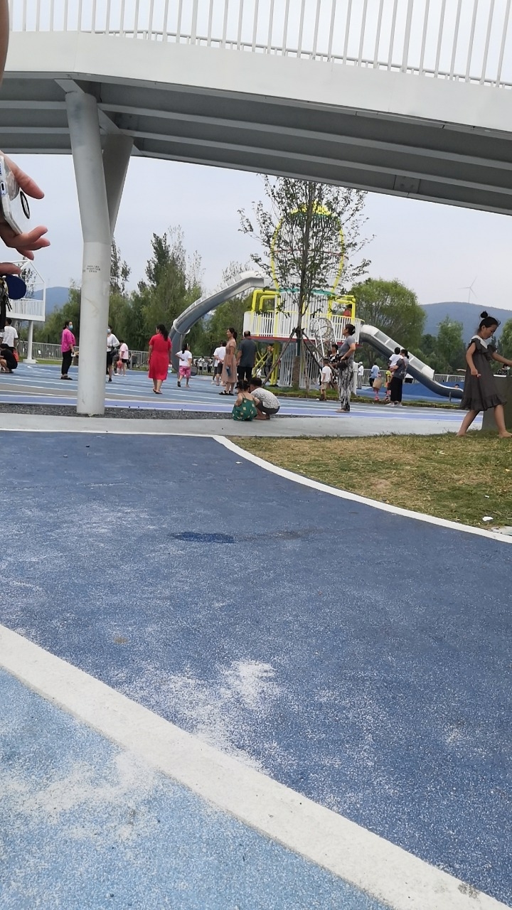 东湖中央公园旅行图片 2