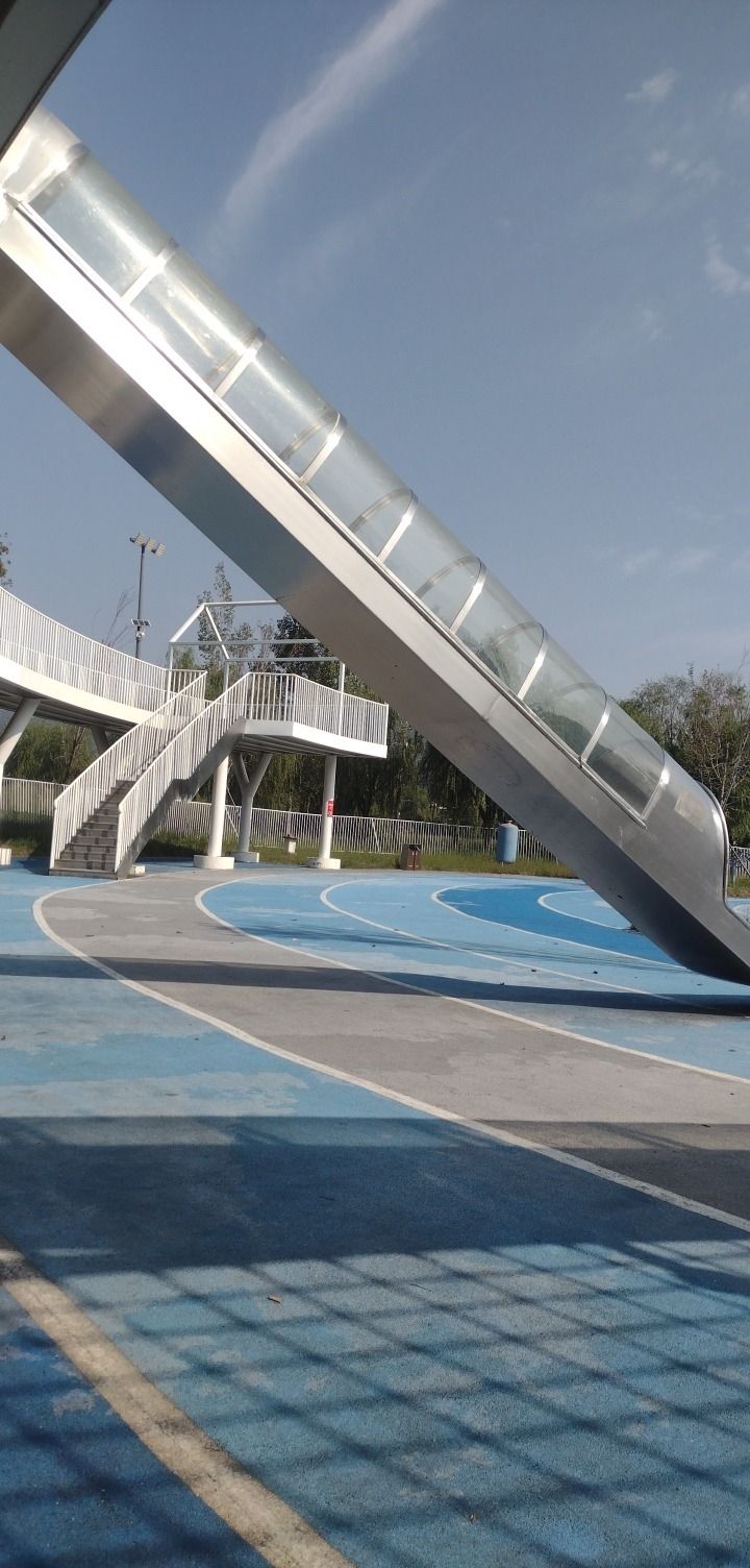 东湖中央公园旅行图片 1
