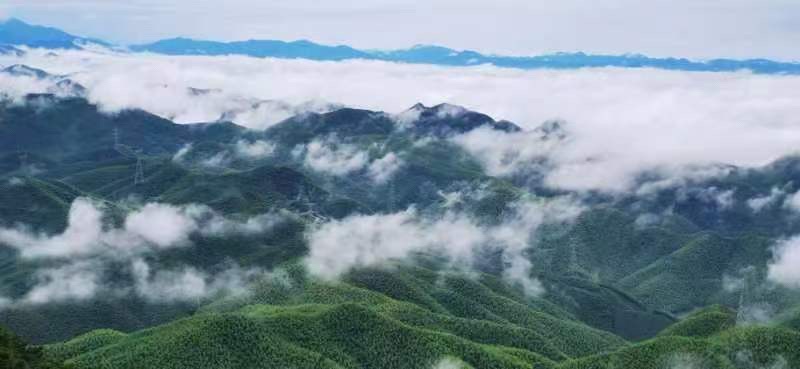 德清筏头云竹家庭农场