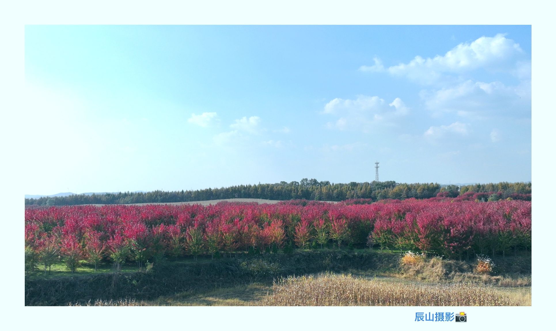 抚顺红枫林景区旅行图片 2