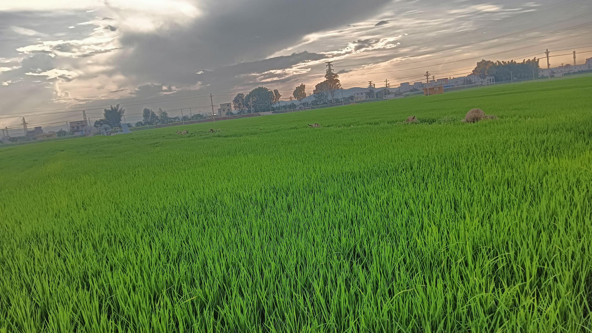 仙景村景区