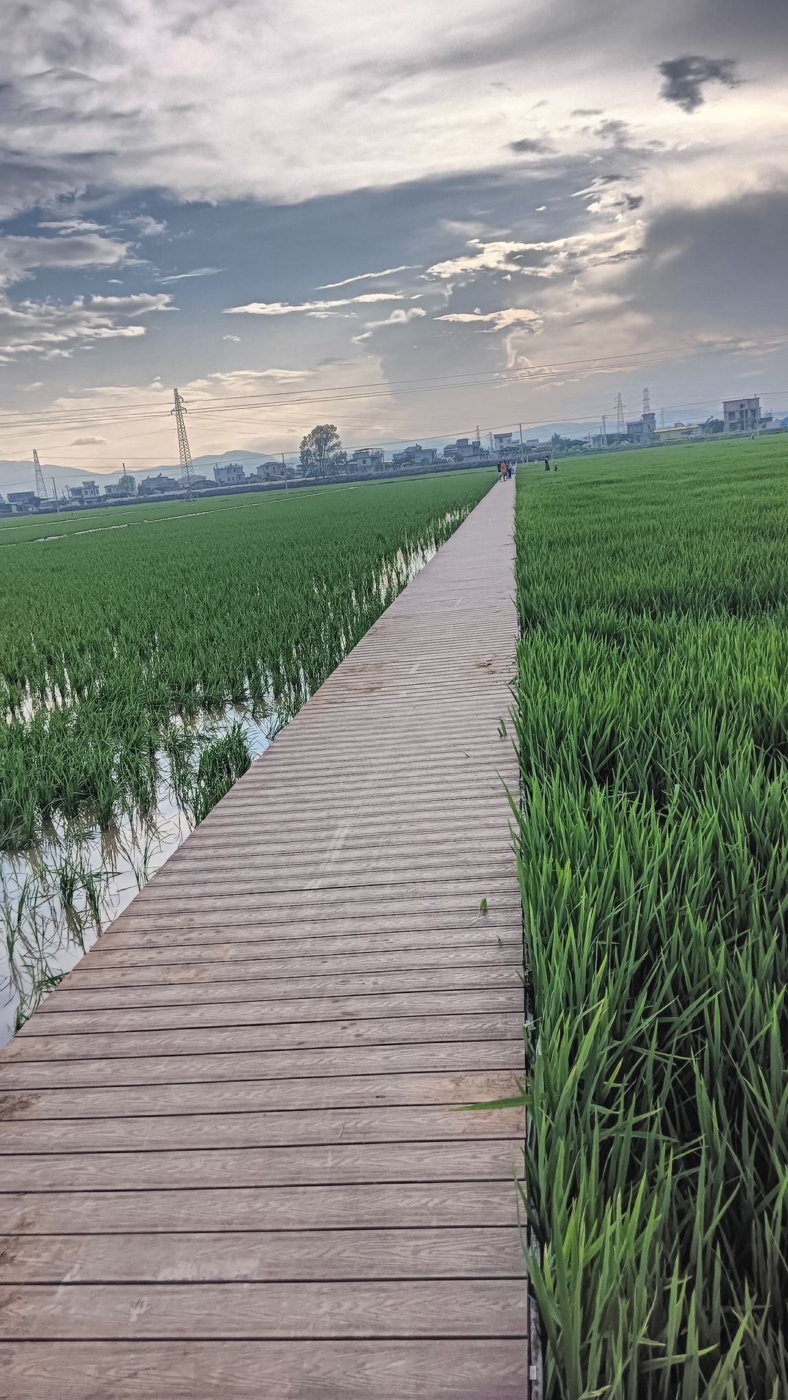 仙景村景区