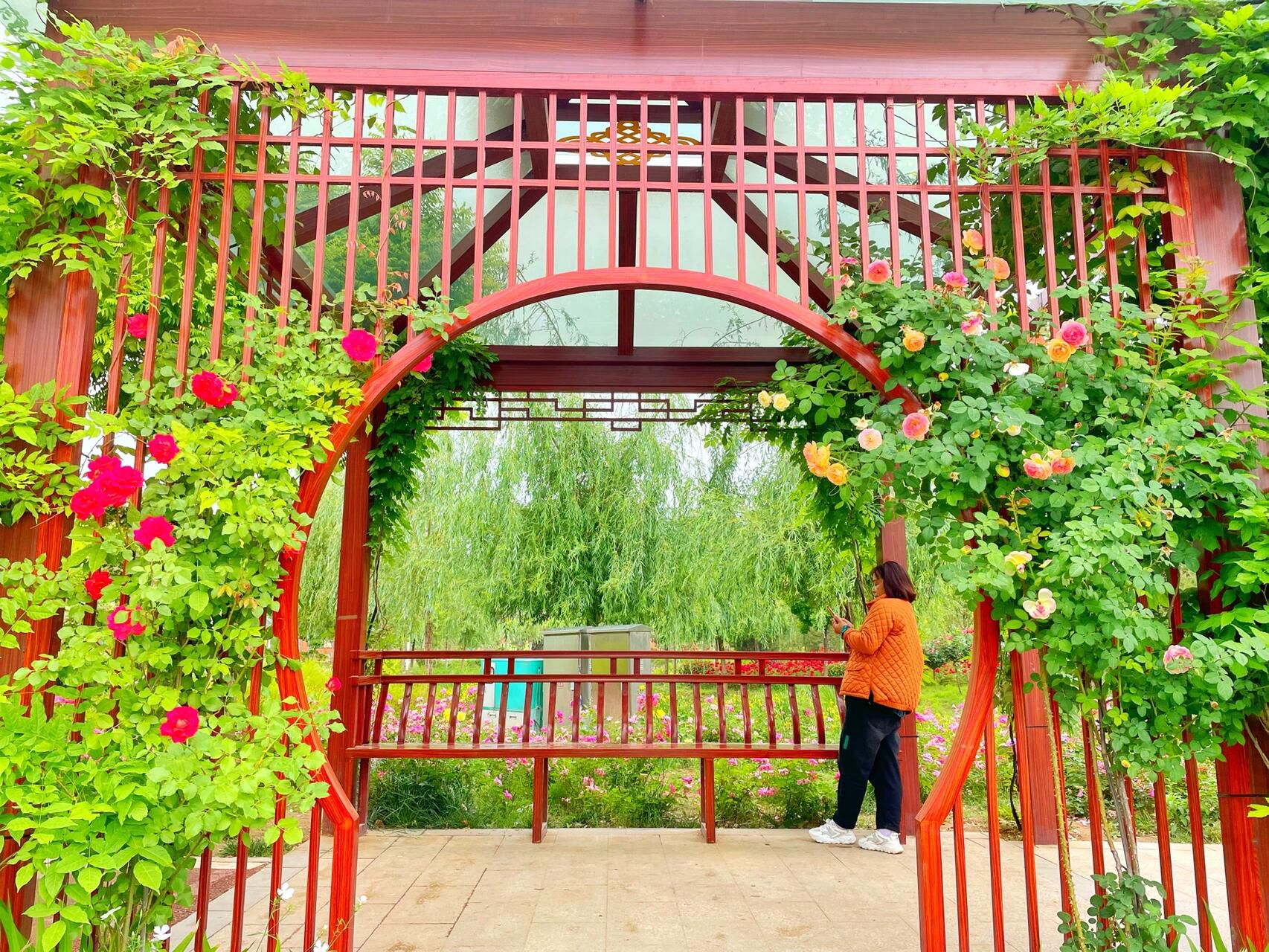 尚贤苑旅行图片 1