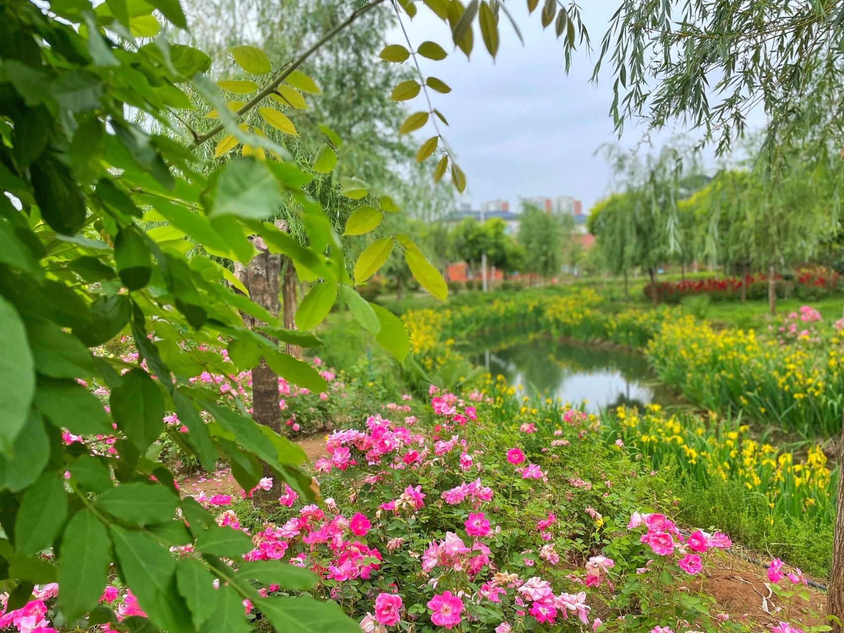 尚贤苑旅行图片 3