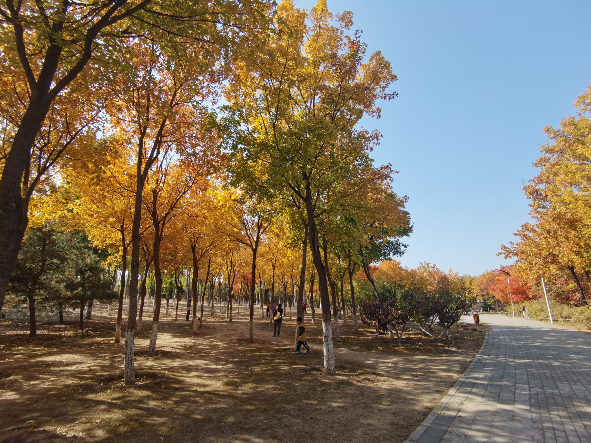 北京温榆河公园·未来智谷