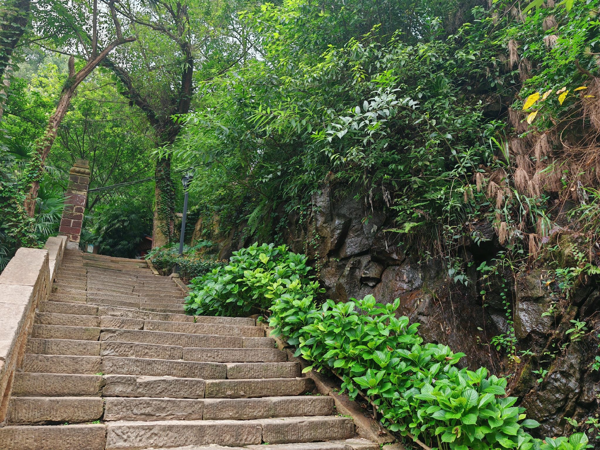 建文峰登山游步道旅行图片 2