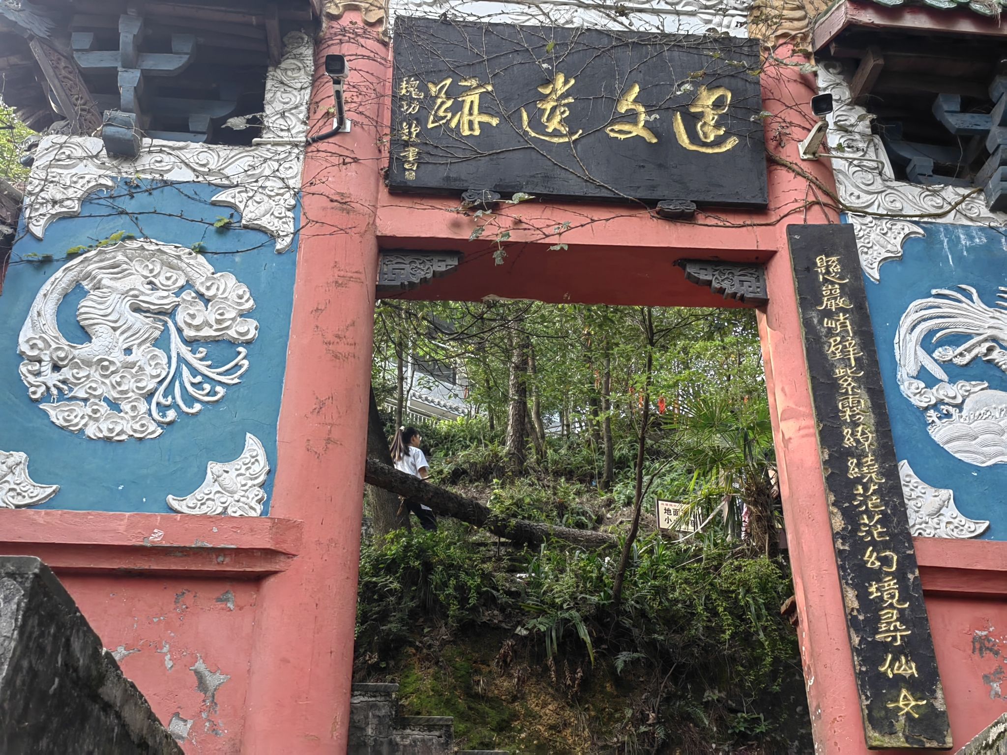 建文峰登山游步道旅行图片 2