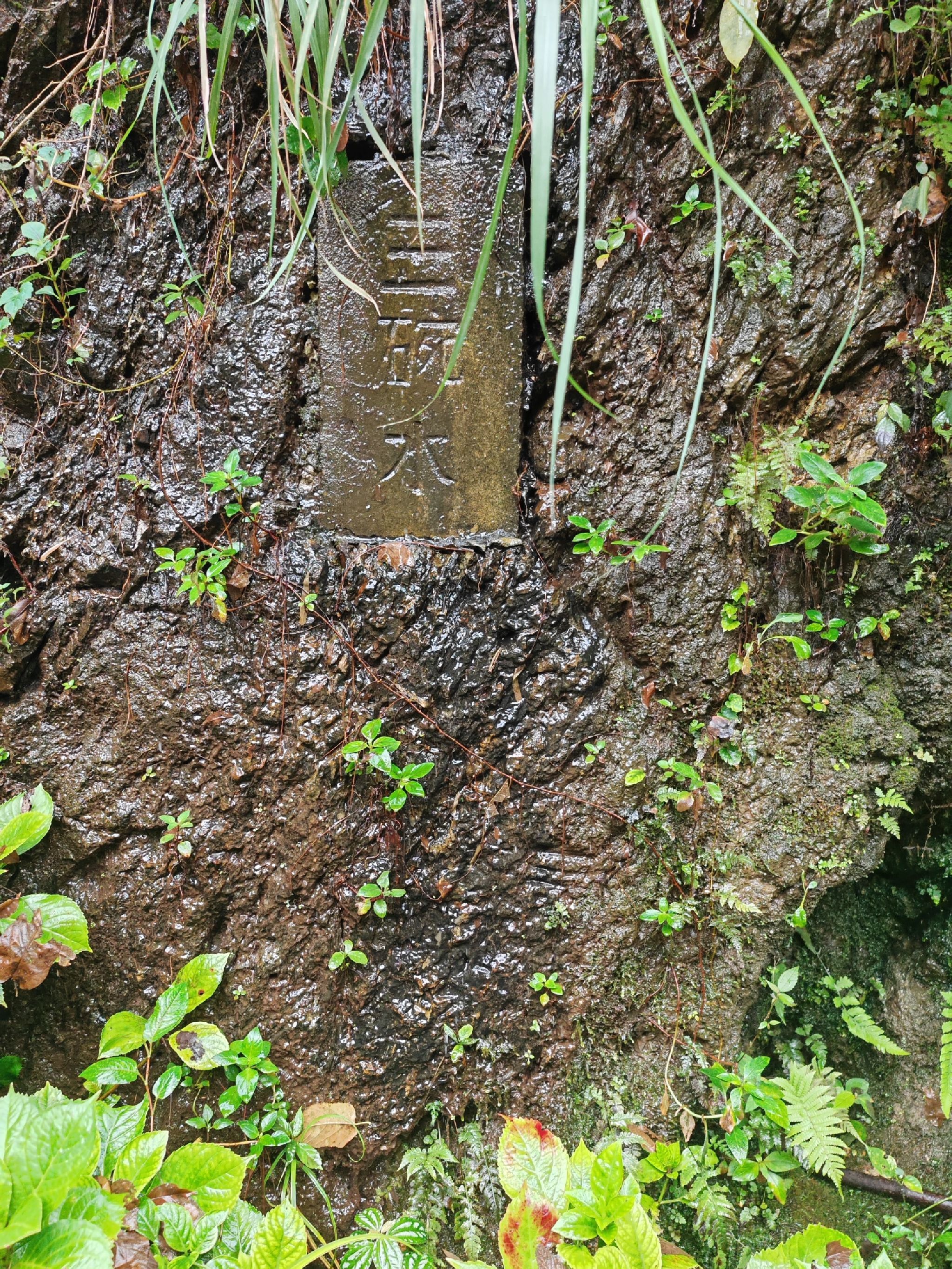 建文峰登山游步道旅行图片 3