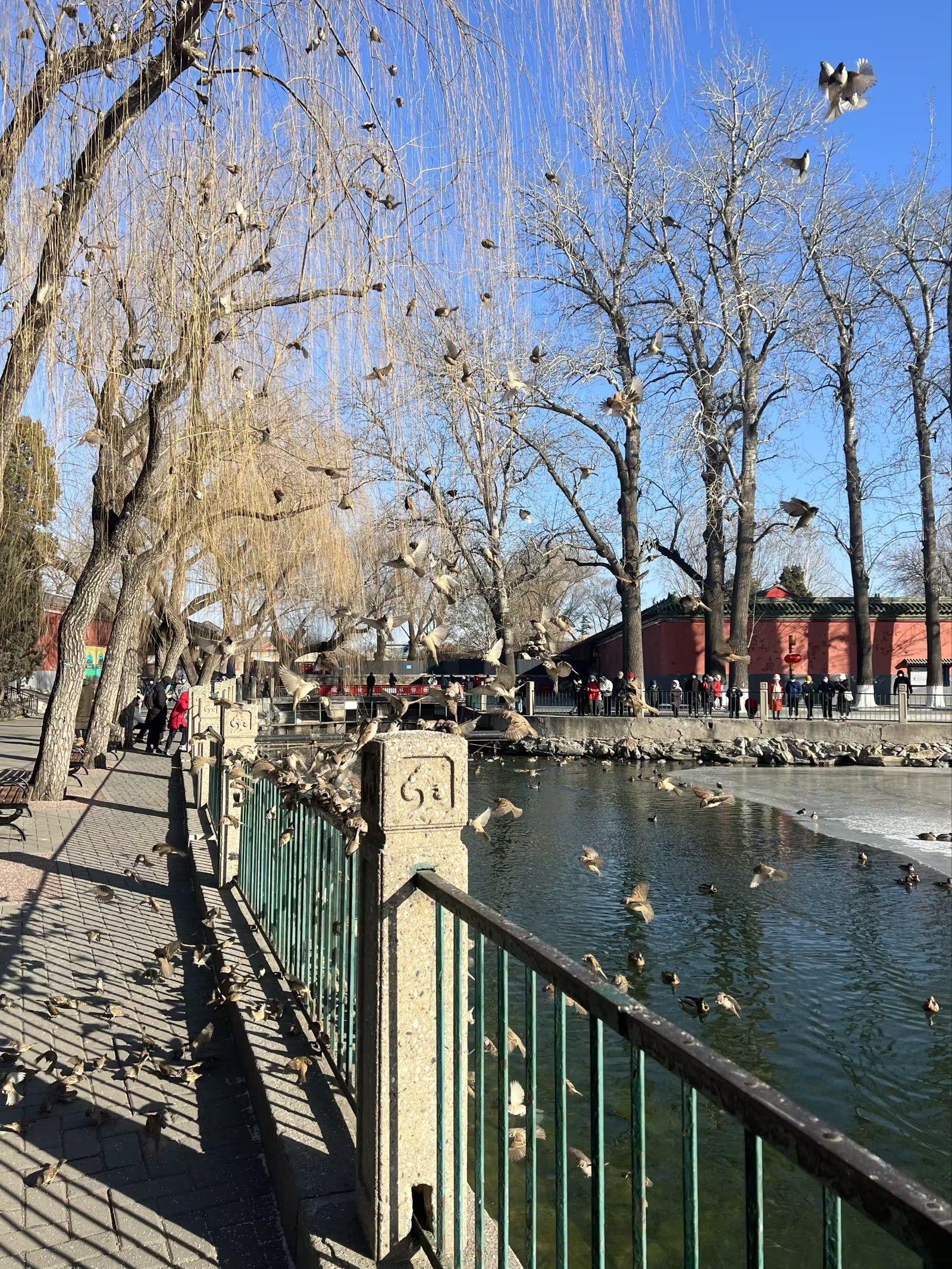 北海公园(北岸)