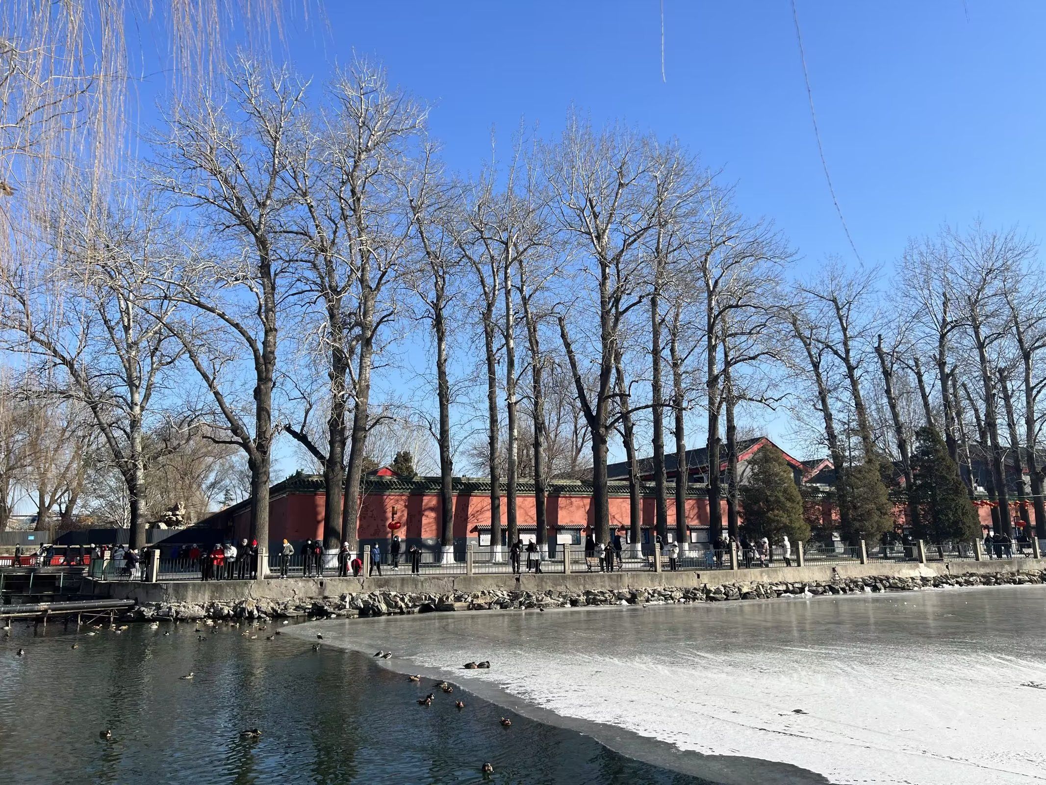 北海公园(北岸)