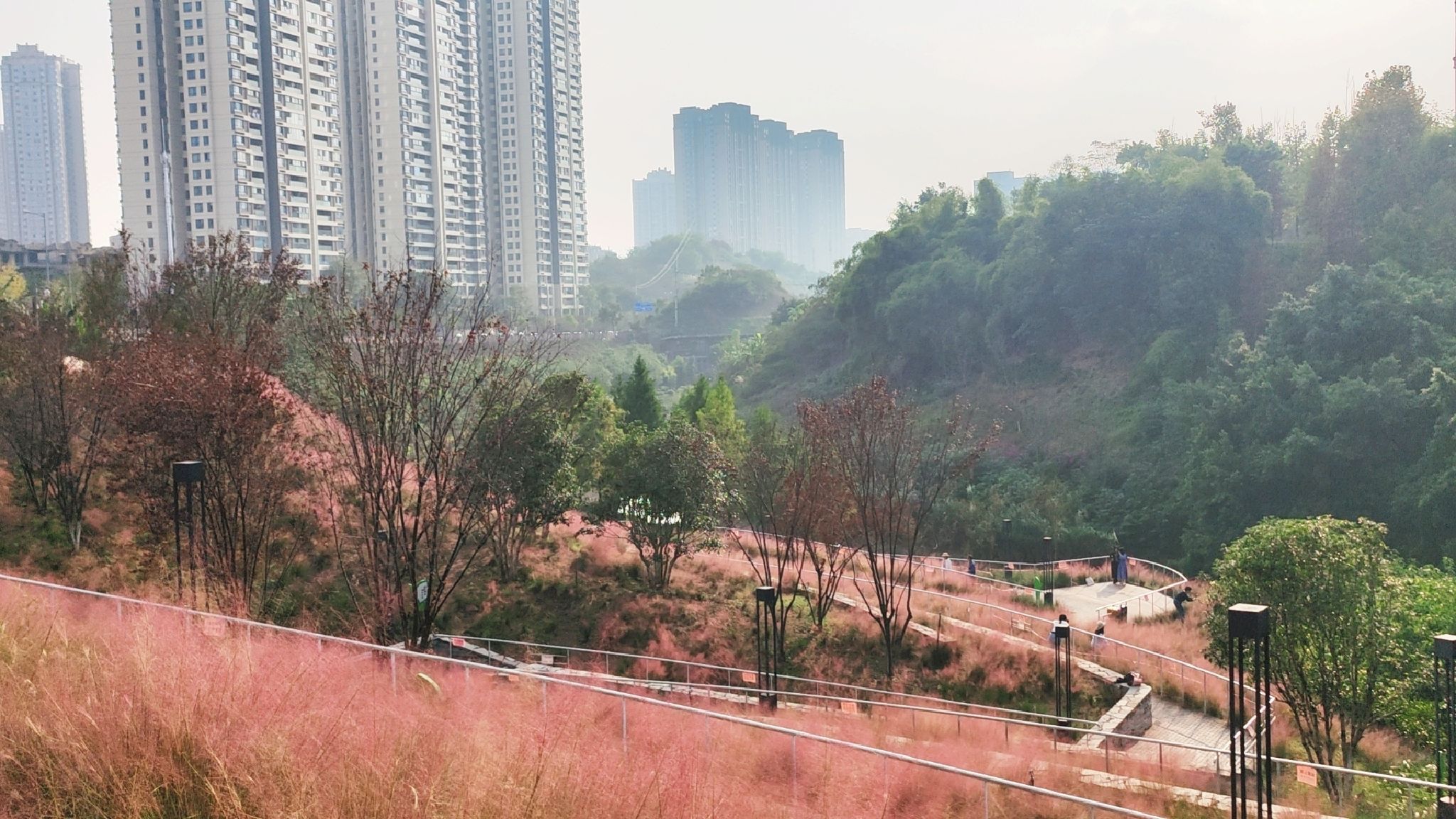 跳墩河公园旅行图片 1