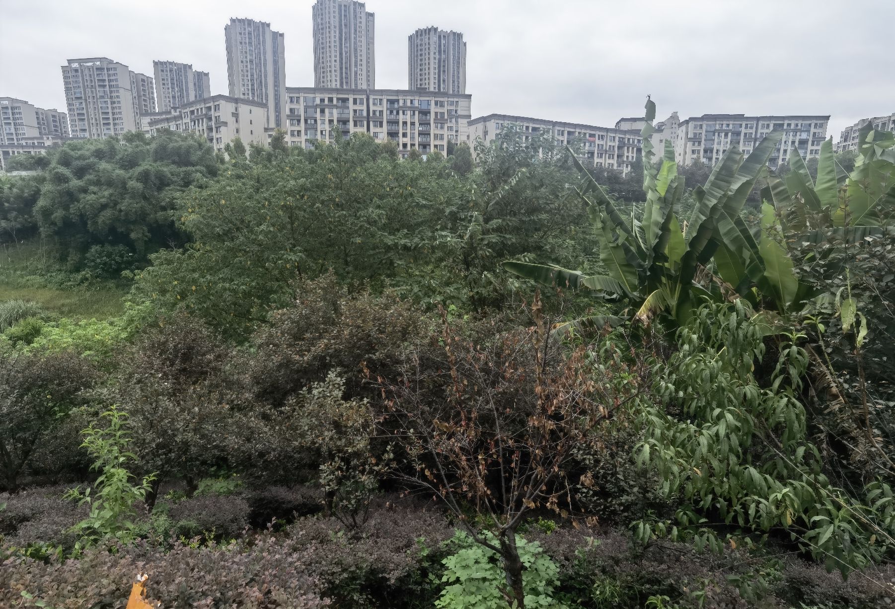 跳墩河公园旅行图片 3