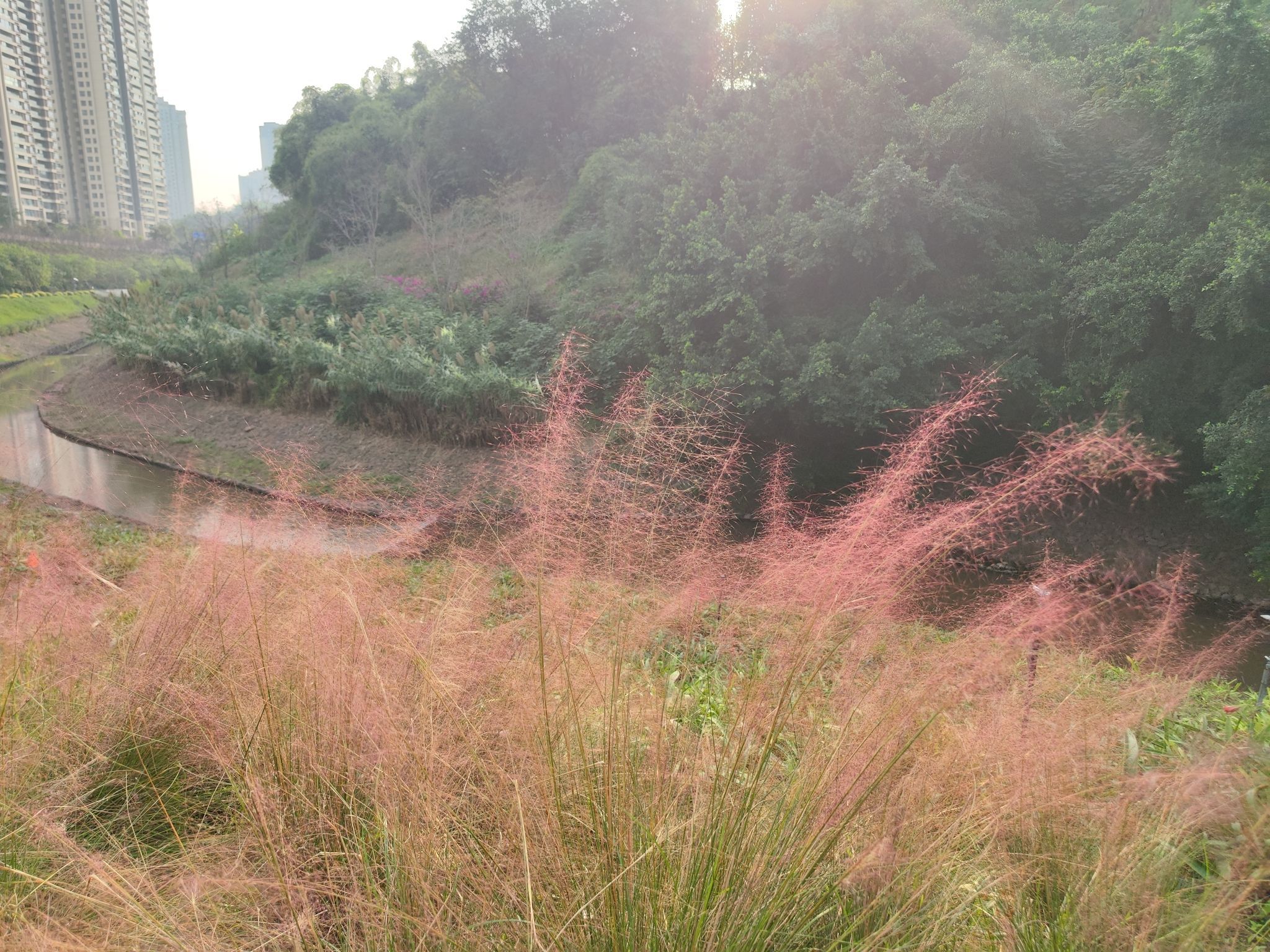 跳墩河公园旅行图片 3