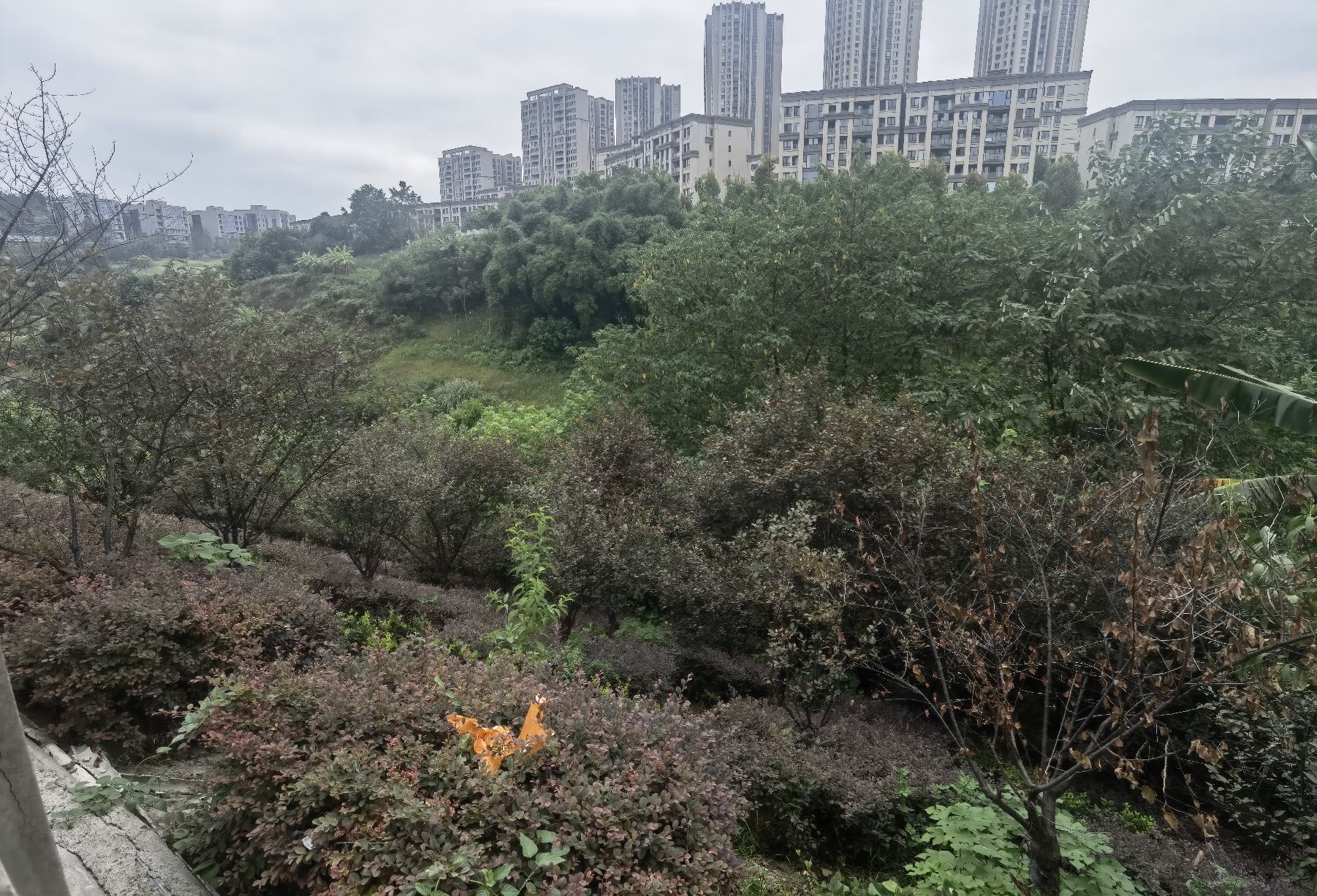 跳墩河公园旅行图片 2