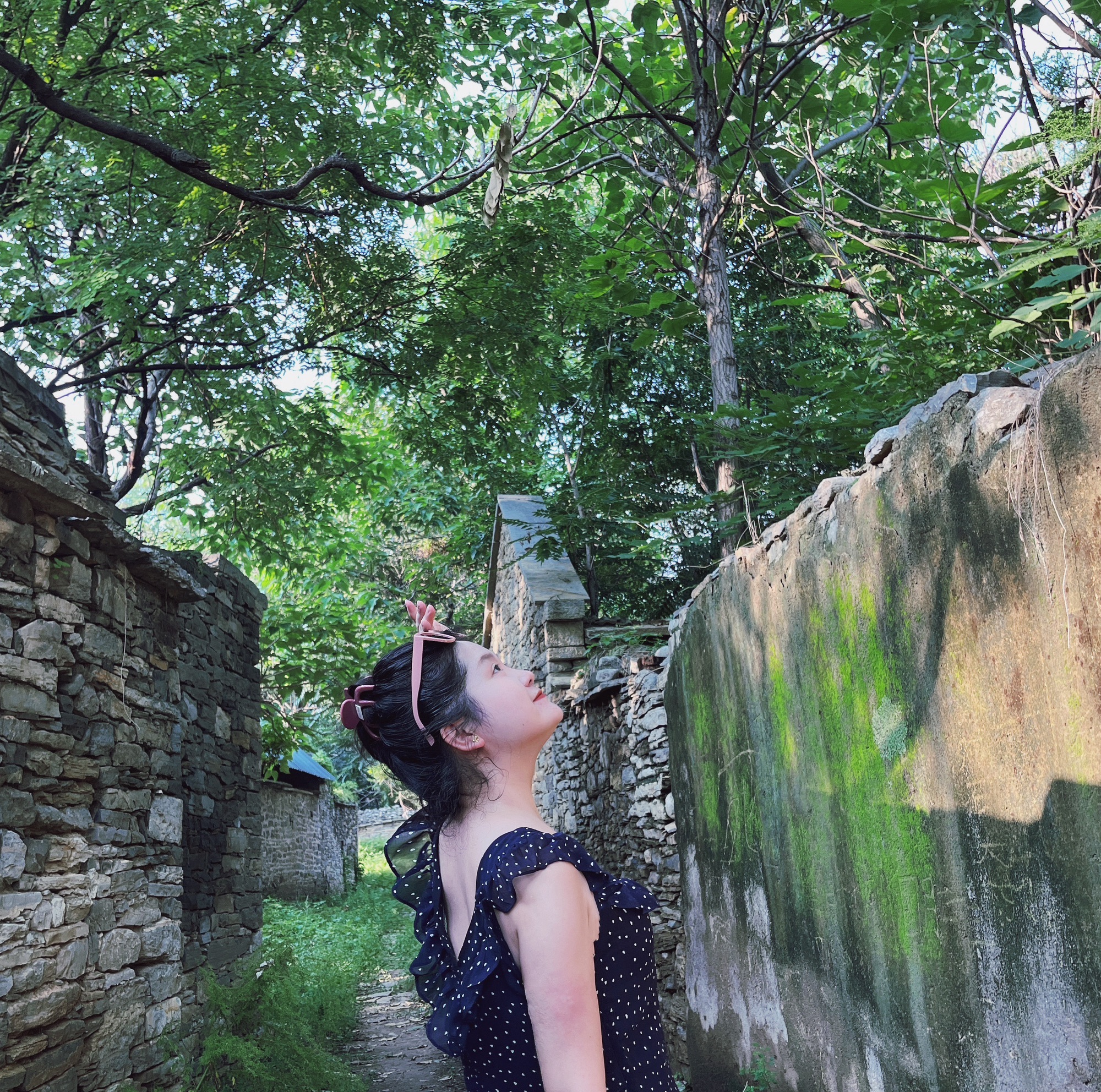 凤凰村瀑布旅行图片 2