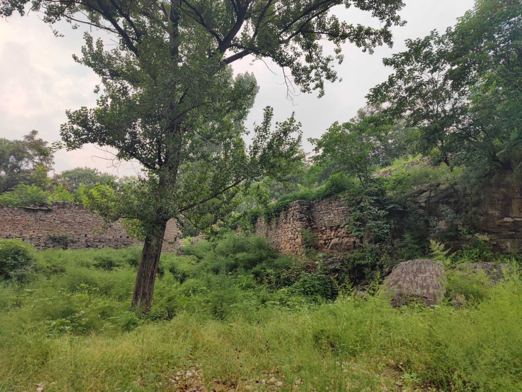 凤凰村瀑布旅行图片 3