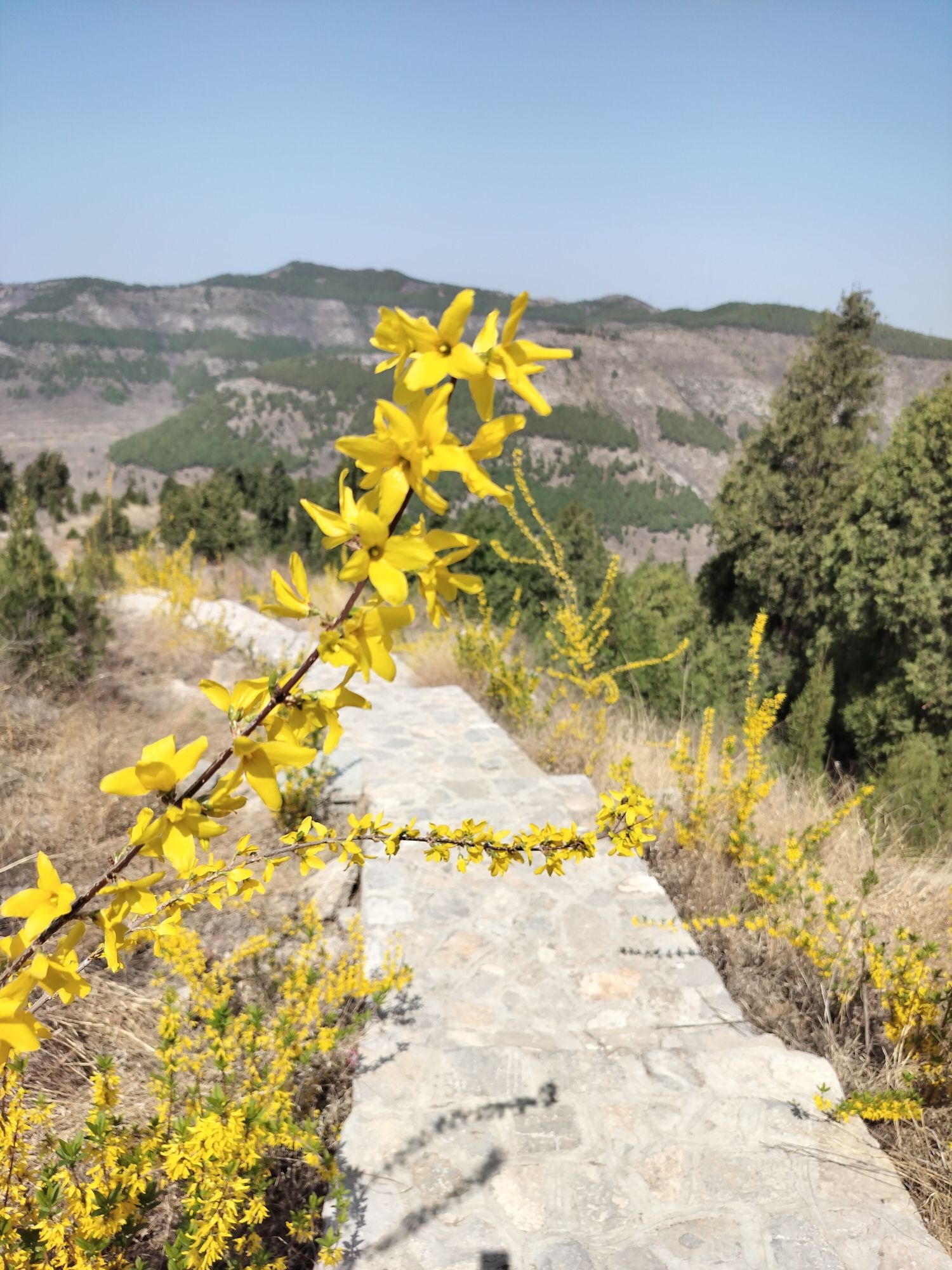 石秀山公园旅行图片 3