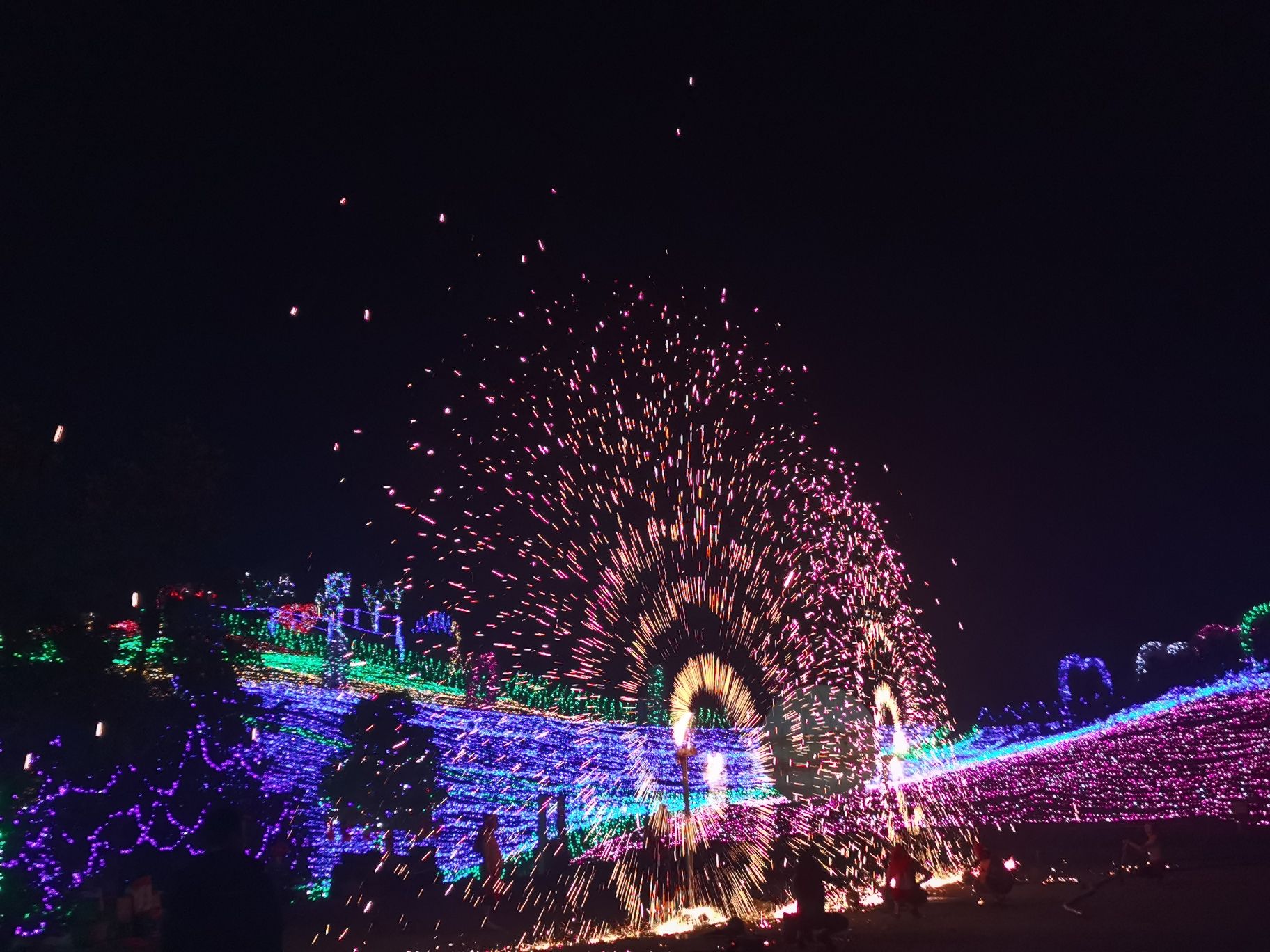 百万玫瑰成长田园旅行图片 1