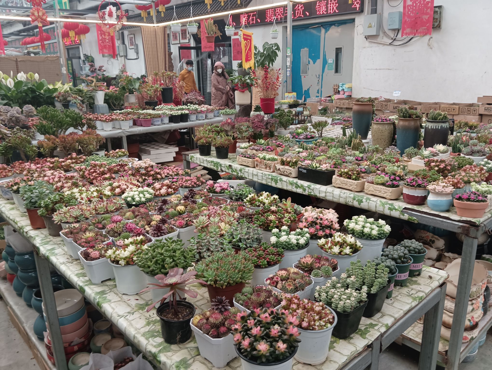天津市西青区梨园头花卉经营厅