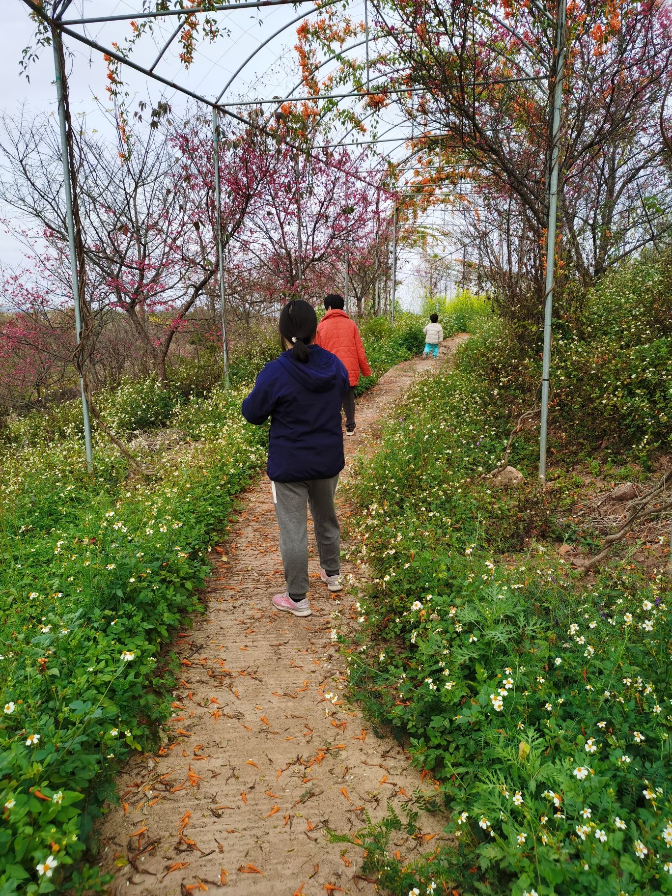 广东和山休闲农业旅游产业园旅行图片 1