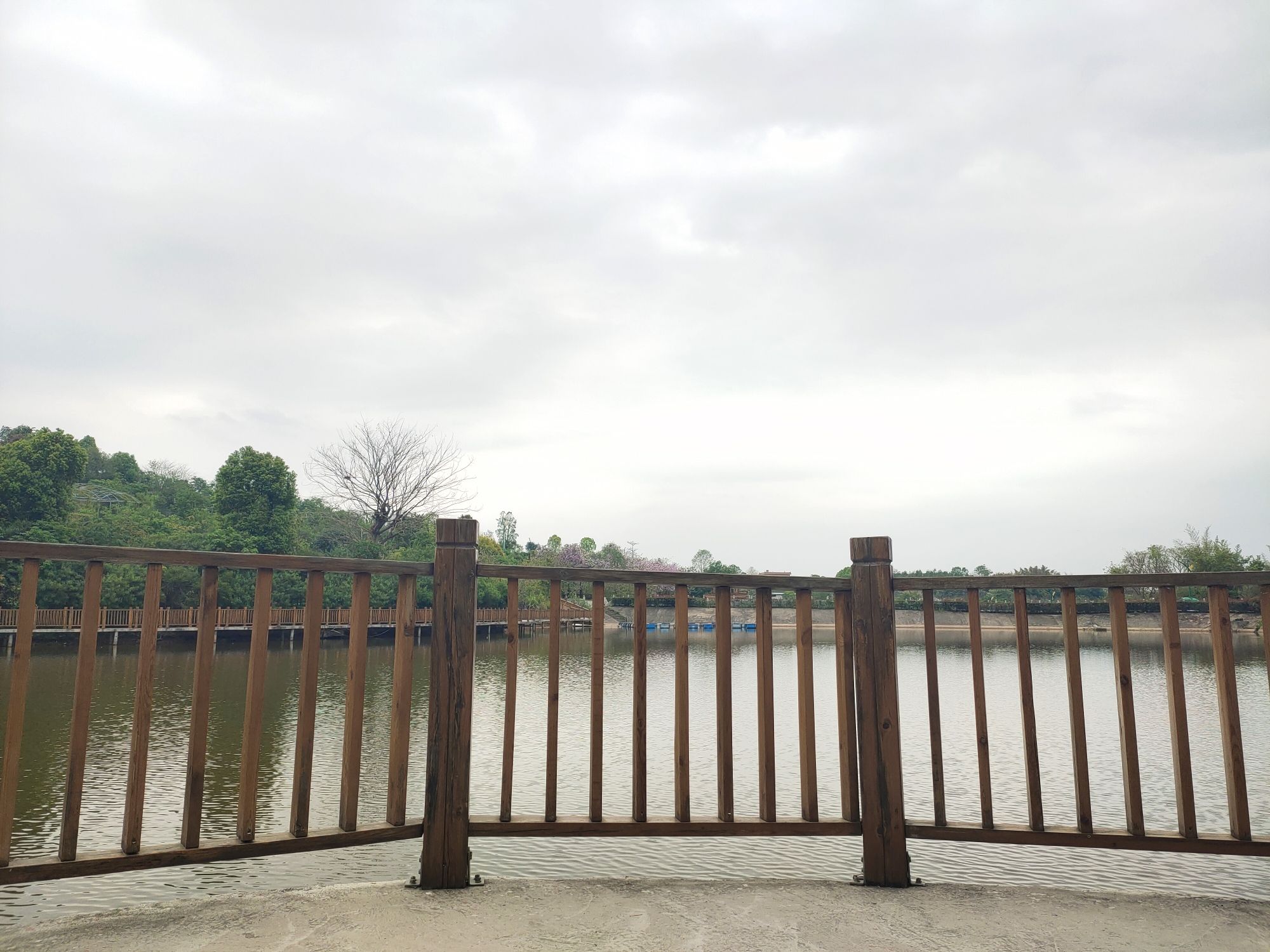 广东和山休闲农业旅游产业园旅行图片 3