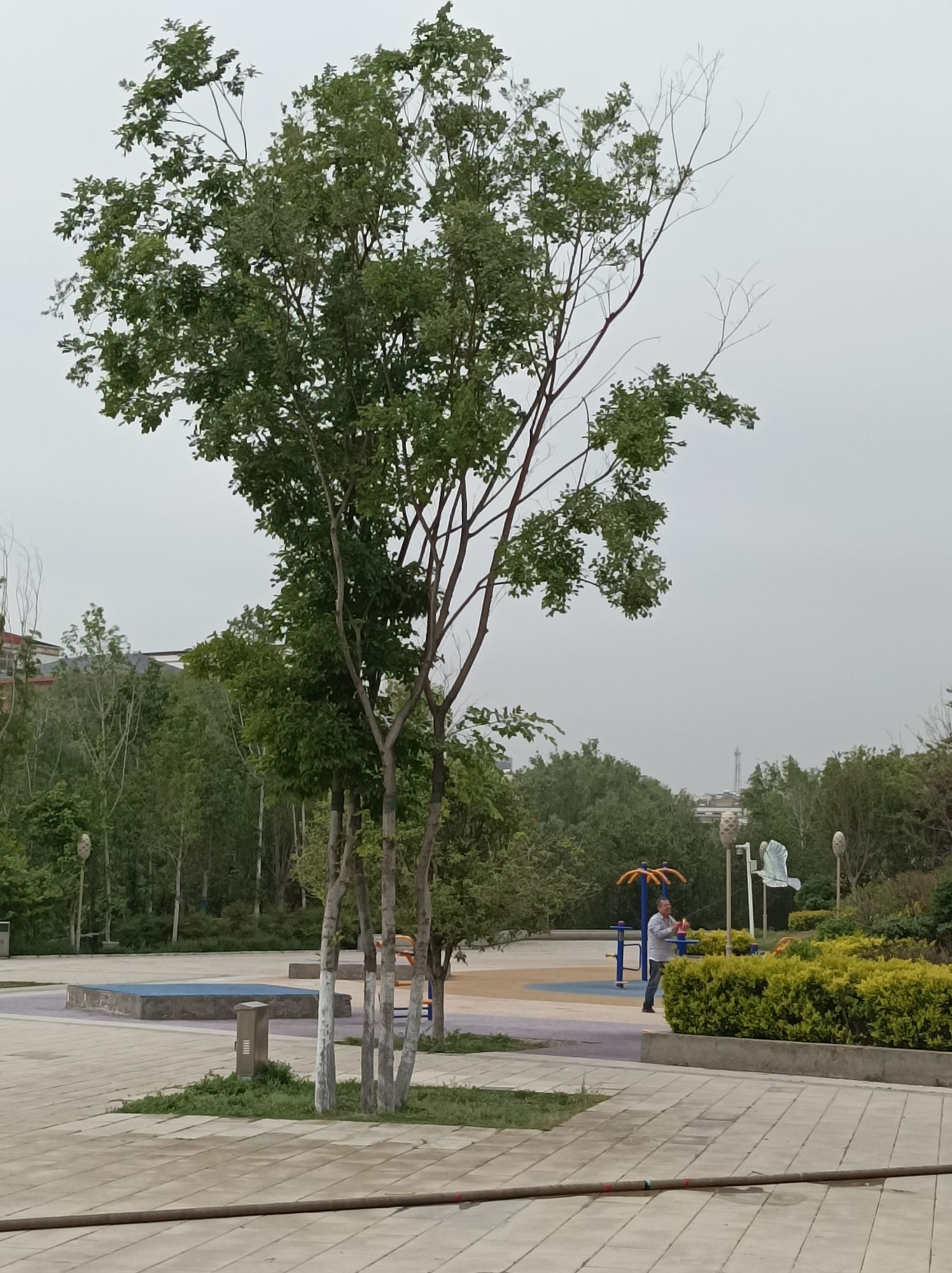 浮雕公园旅行图片 2