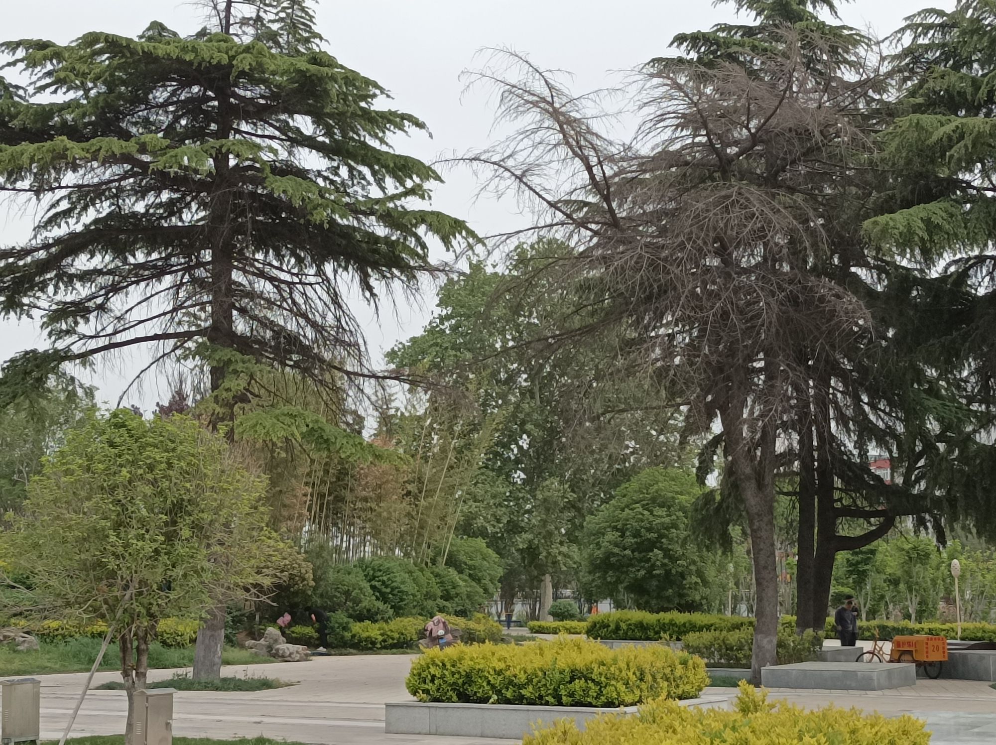 浮雕公园旅行图片 3