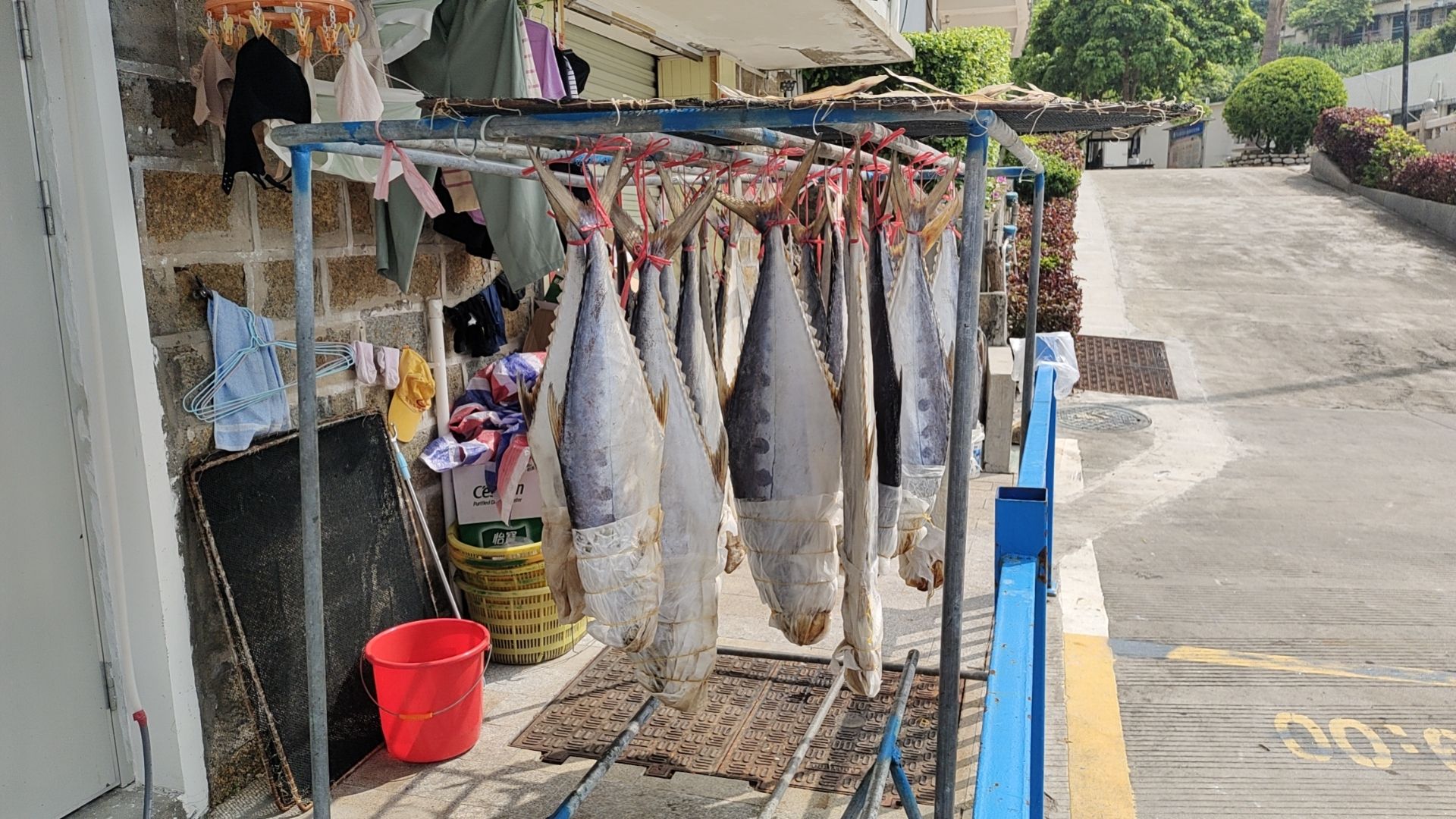万山岛旅行图片 3