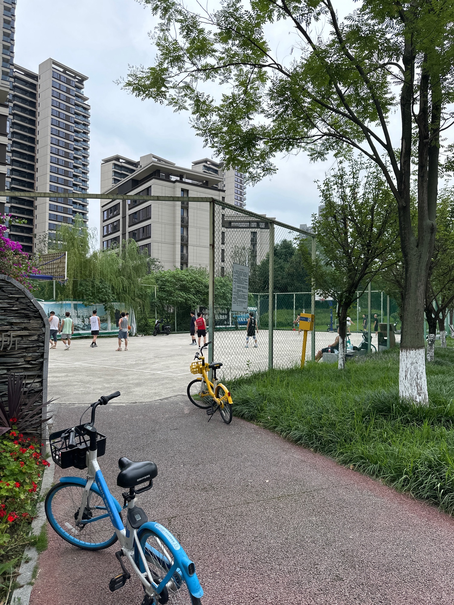 场地封面-杉板桥篮球场