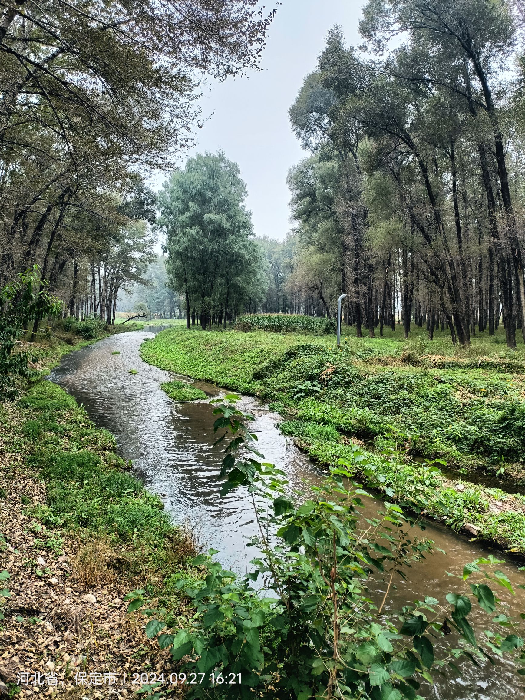 湿地公园旅行图片 2