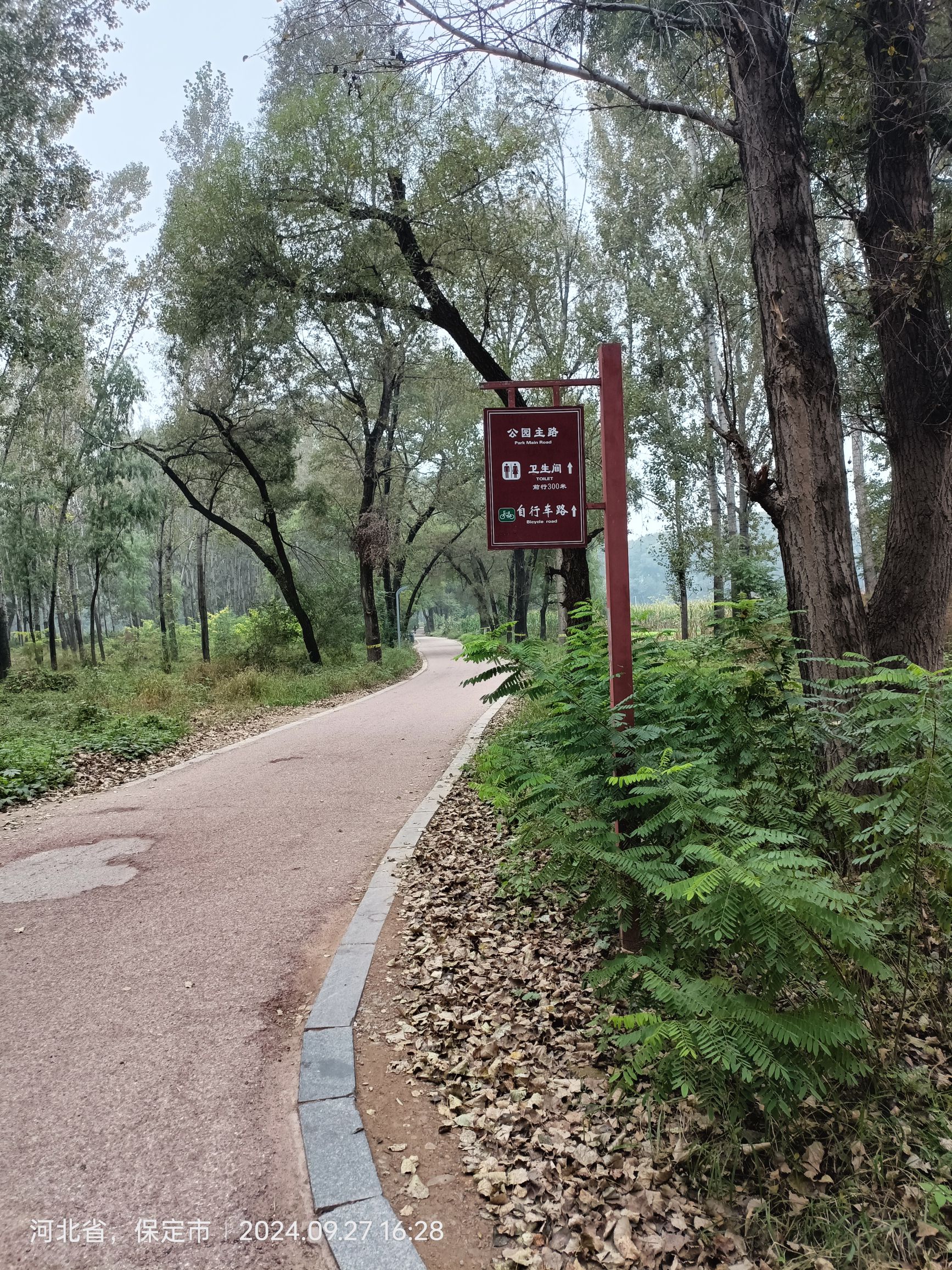 湿地公园旅行图片 1