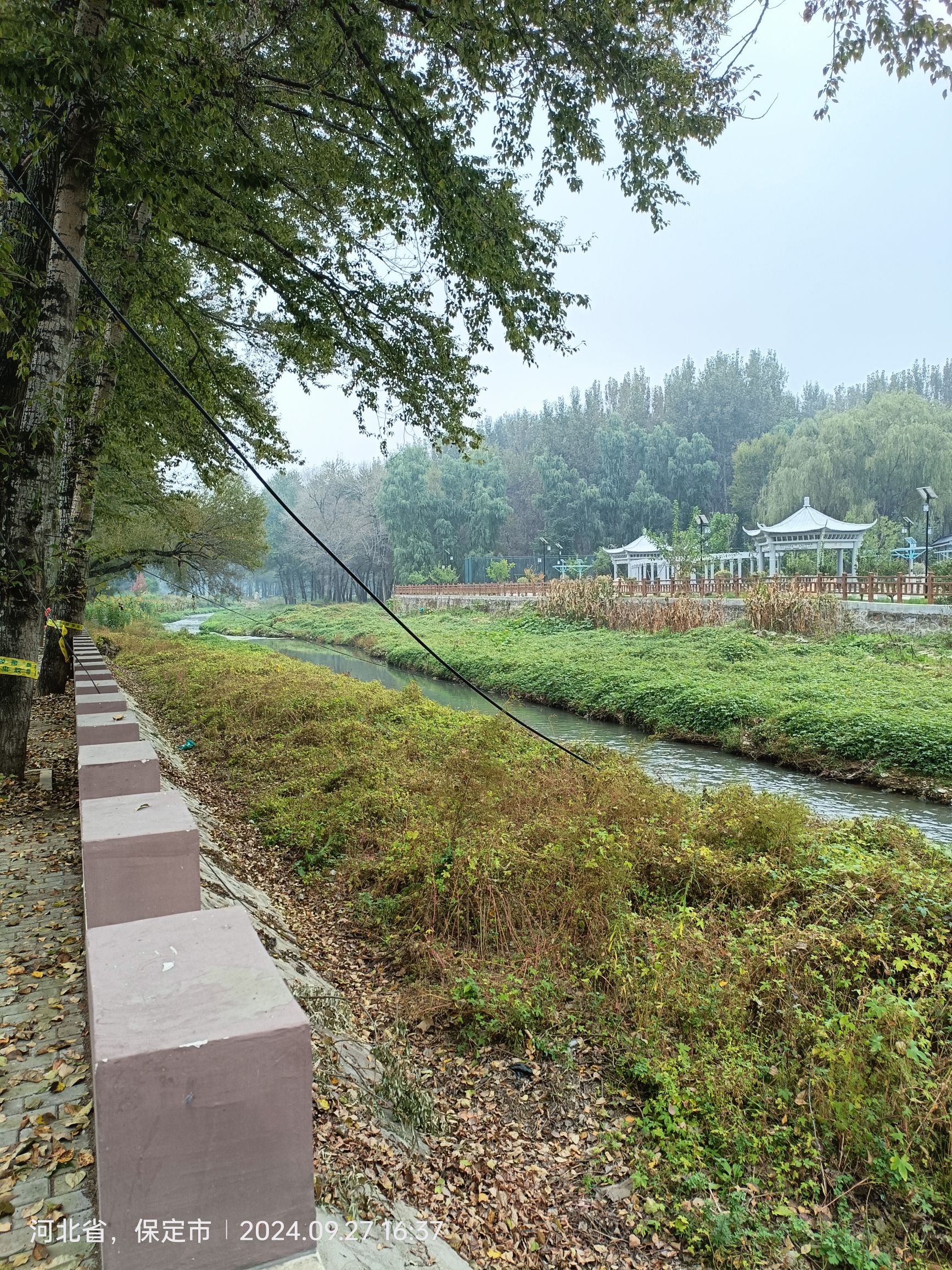 湿地公园旅行图片 3