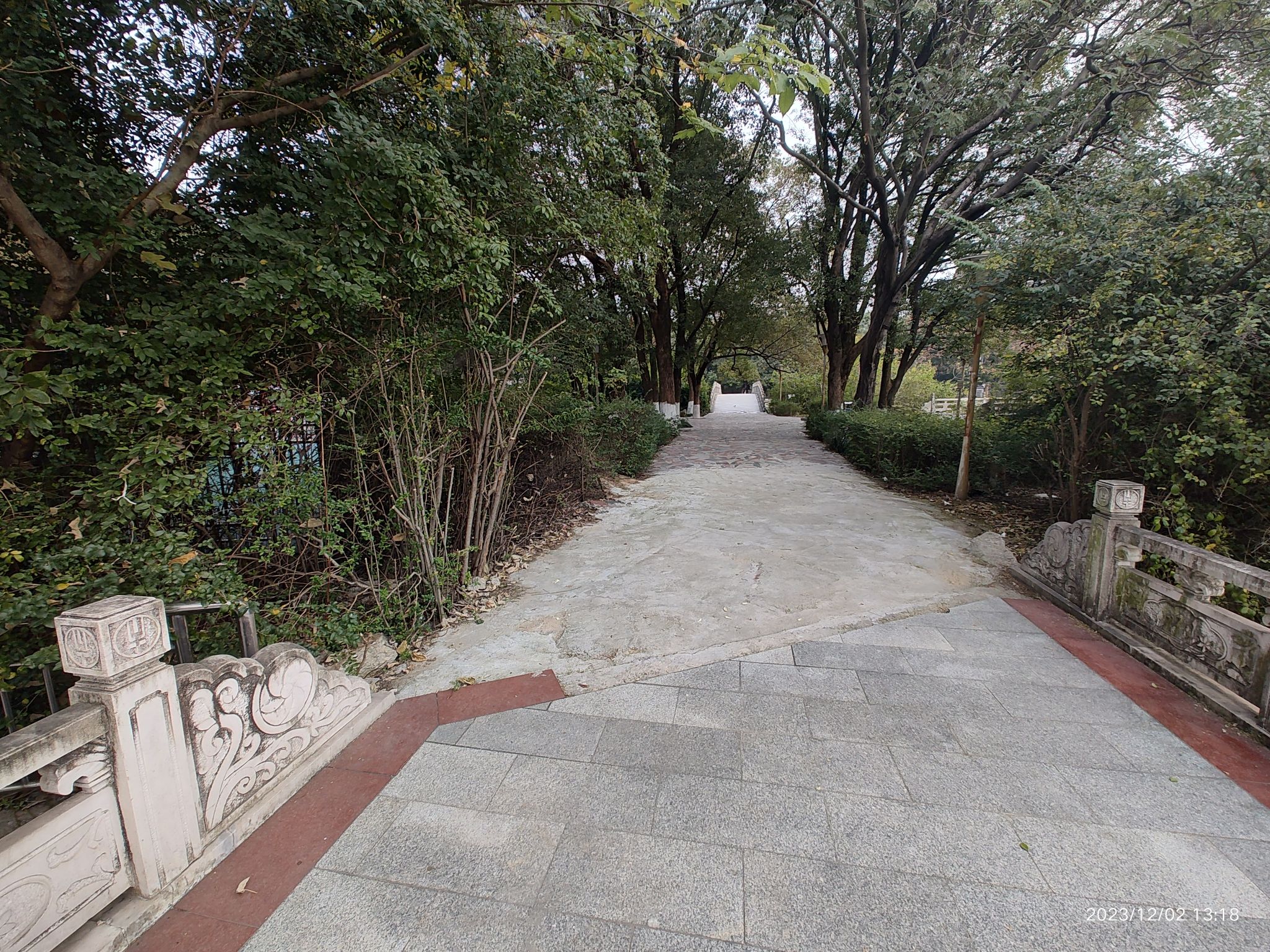 西湖公园旅行图片 3