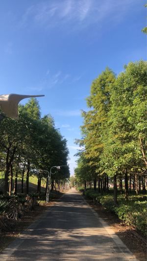 海港生态旅游景区旅行图片 3