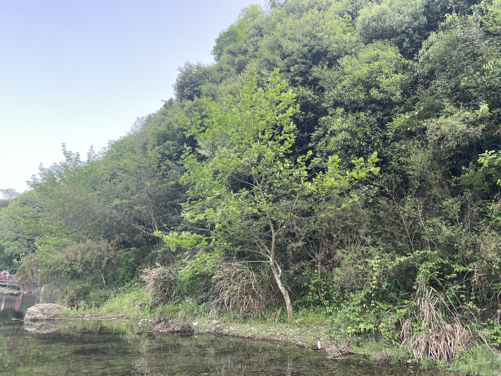 真龙地村龙鳞坝旅行图片 2