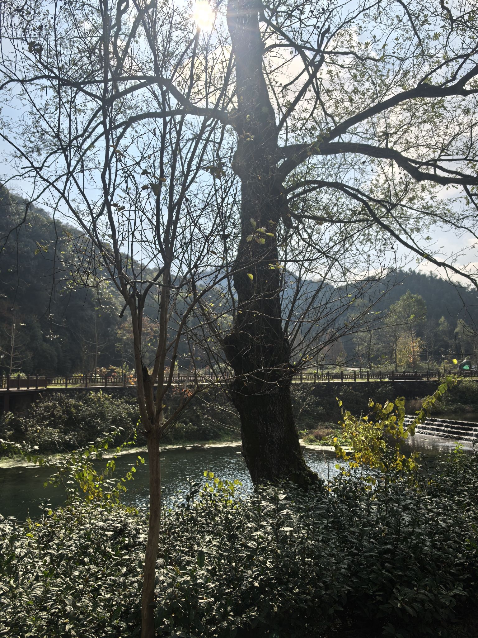 真龙地村龙鳞坝旅行图片 3