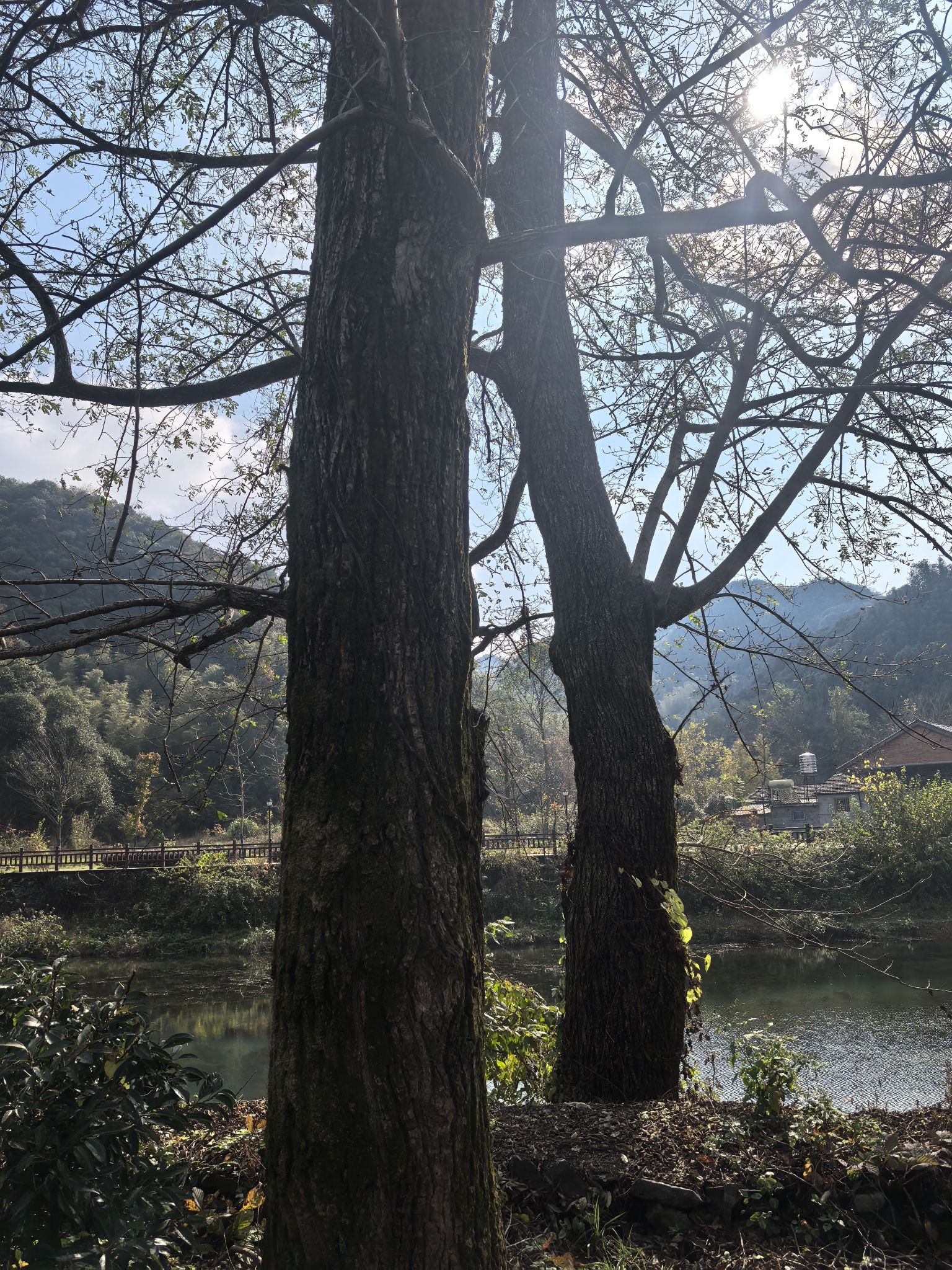真龙地村龙鳞坝旅行图片 2