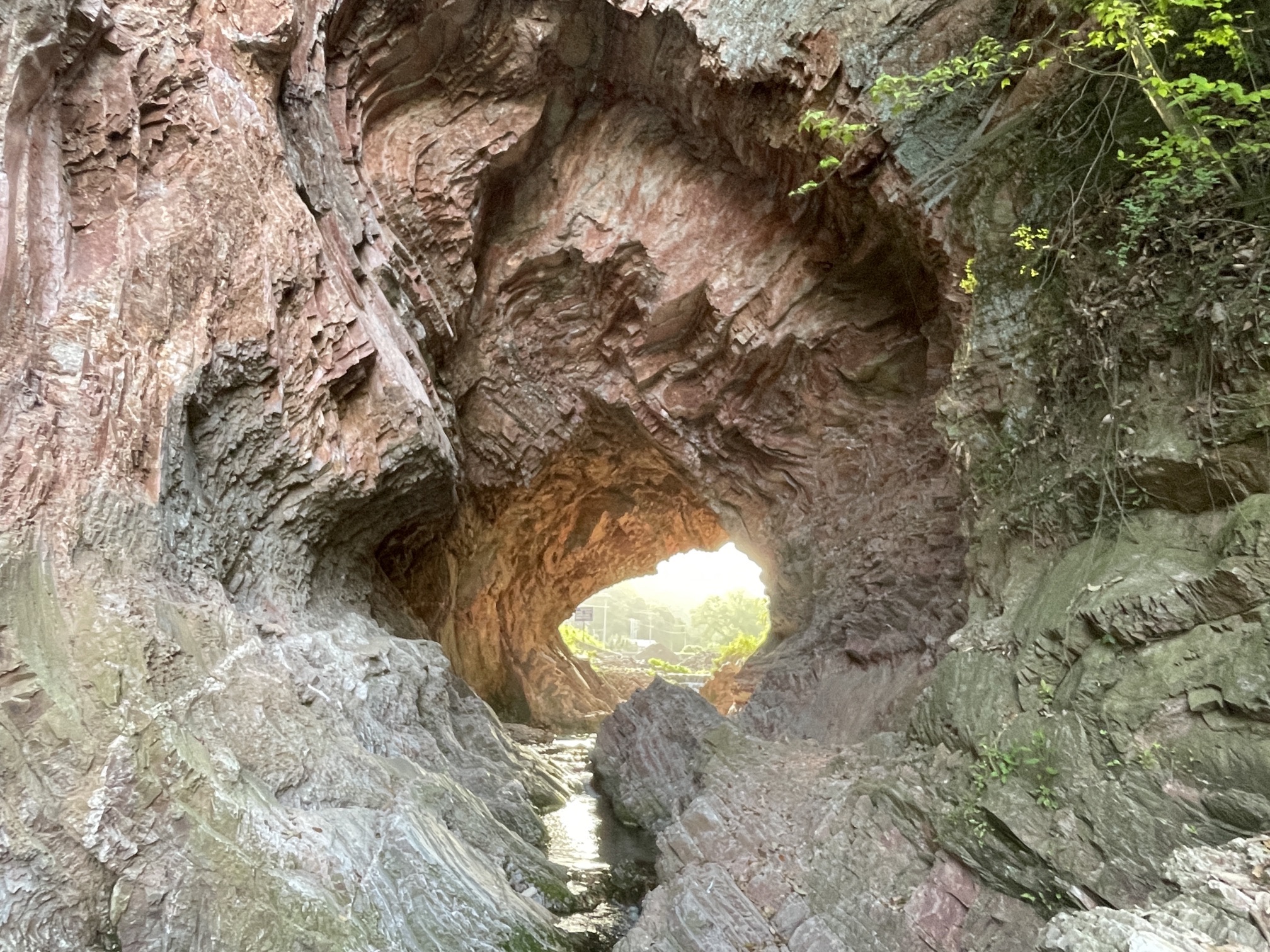 真龙地村龙鳞坝旅行图片 1