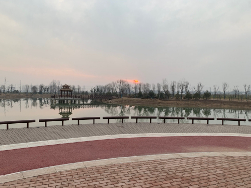 葛岗镇文化公园旅行图片 1