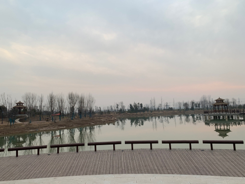 葛岗镇文化公园旅行图片 2