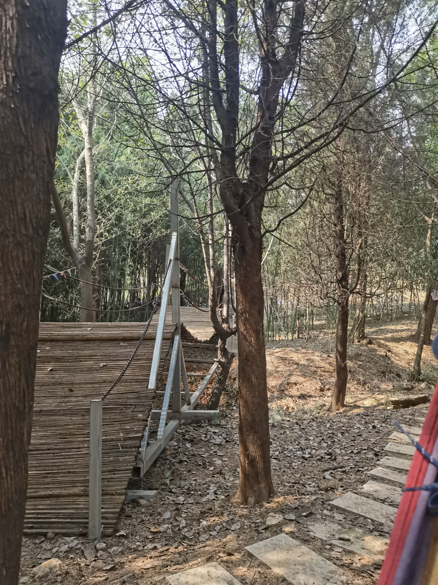 不老山旅行图片 3