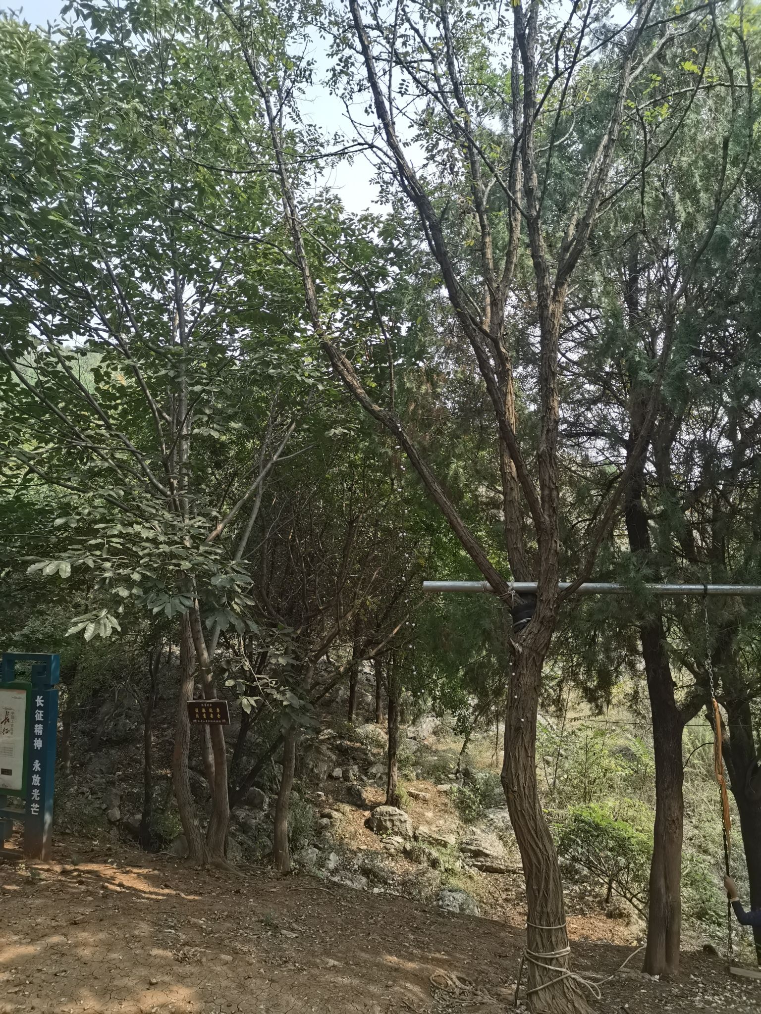 不老山旅行图片 1