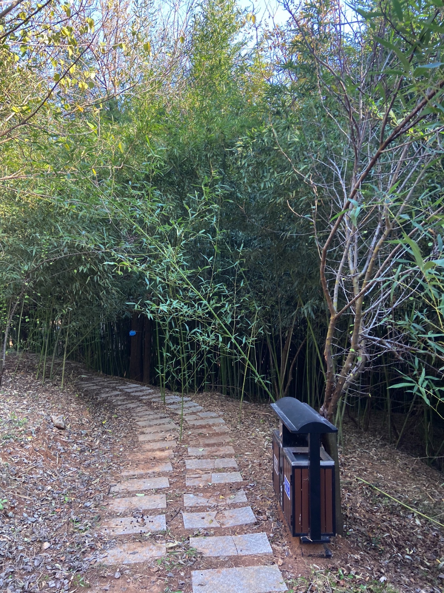 不老山旅行图片 2