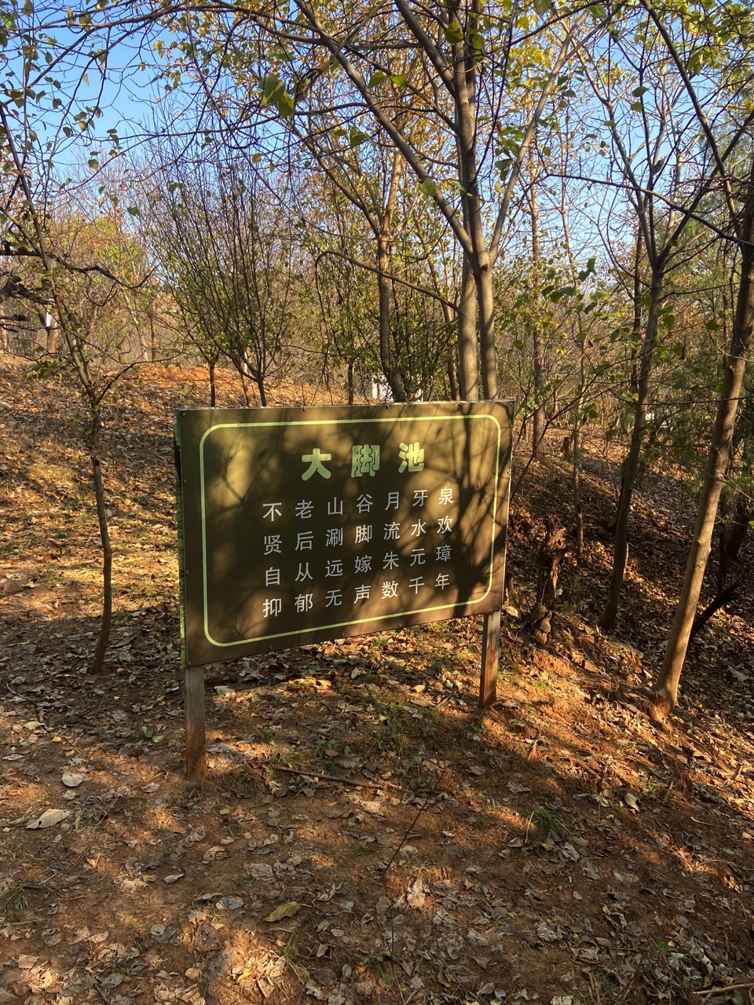不老山旅行图片 3