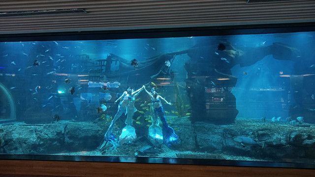 吉安海洋世界旅行图片 2