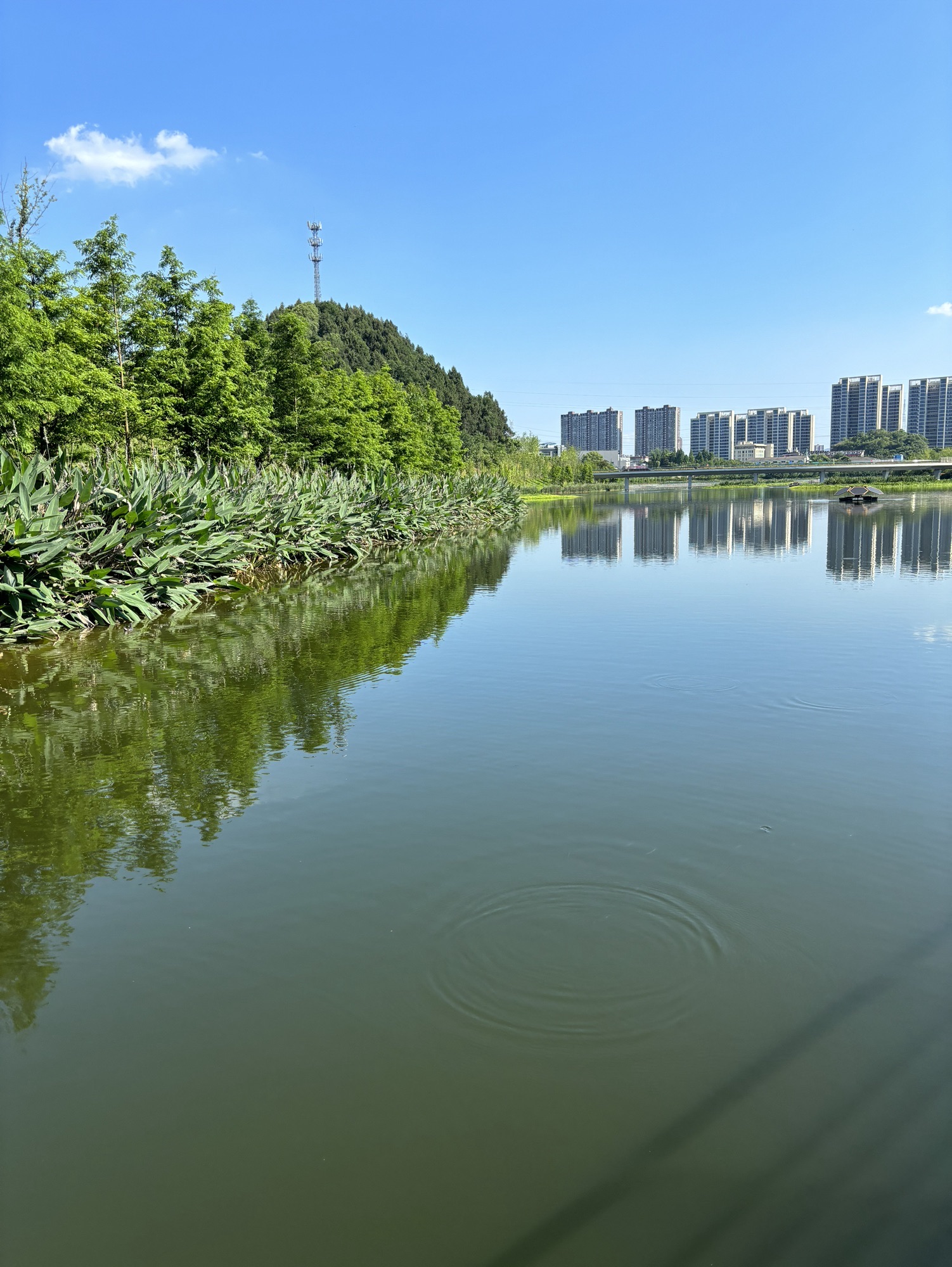 沙河公园