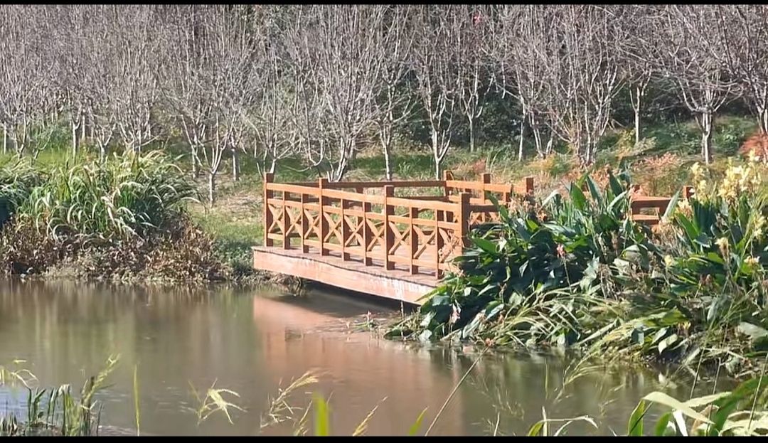 练江河公园旅行图片 1
