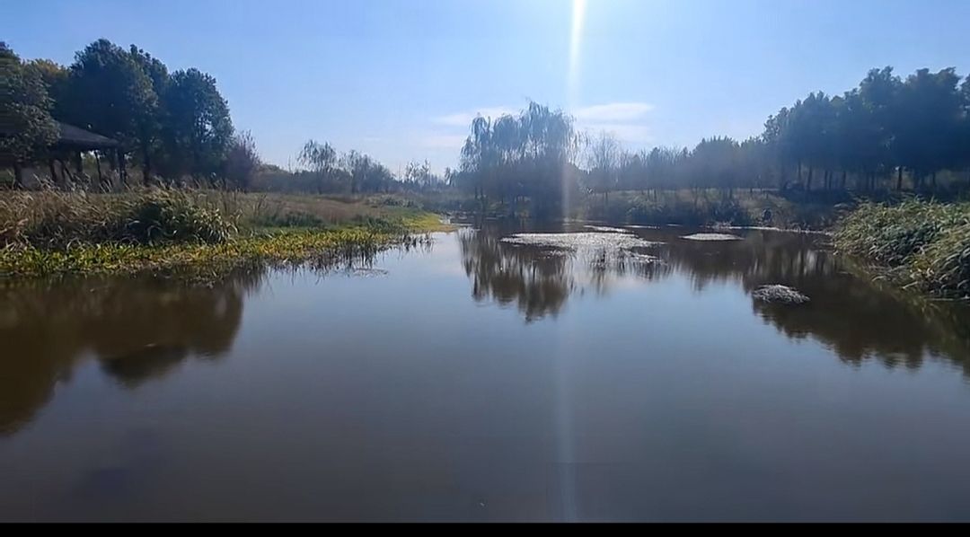 练江河公园旅行图片 3