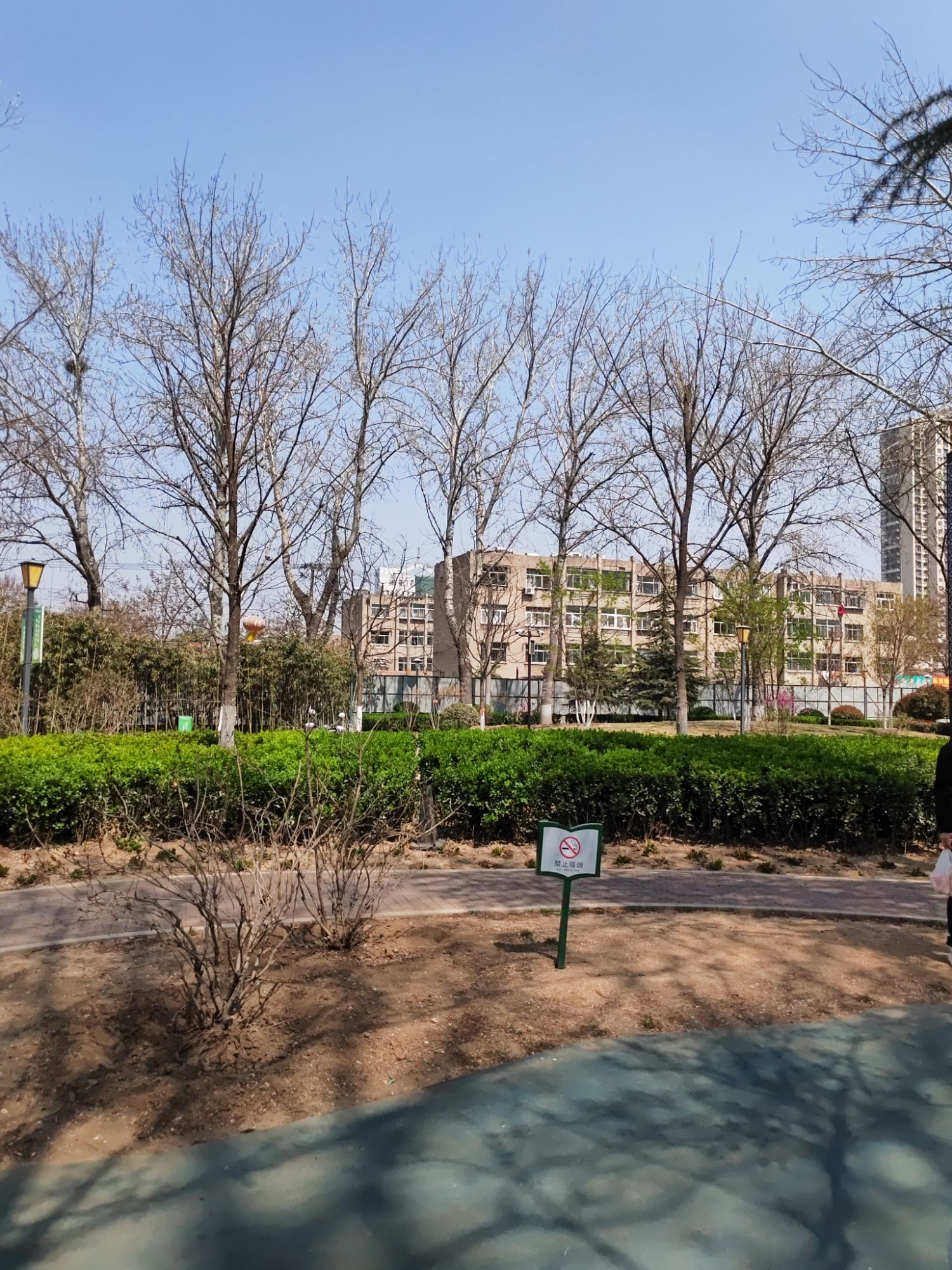 崇德公园旅行图片 2