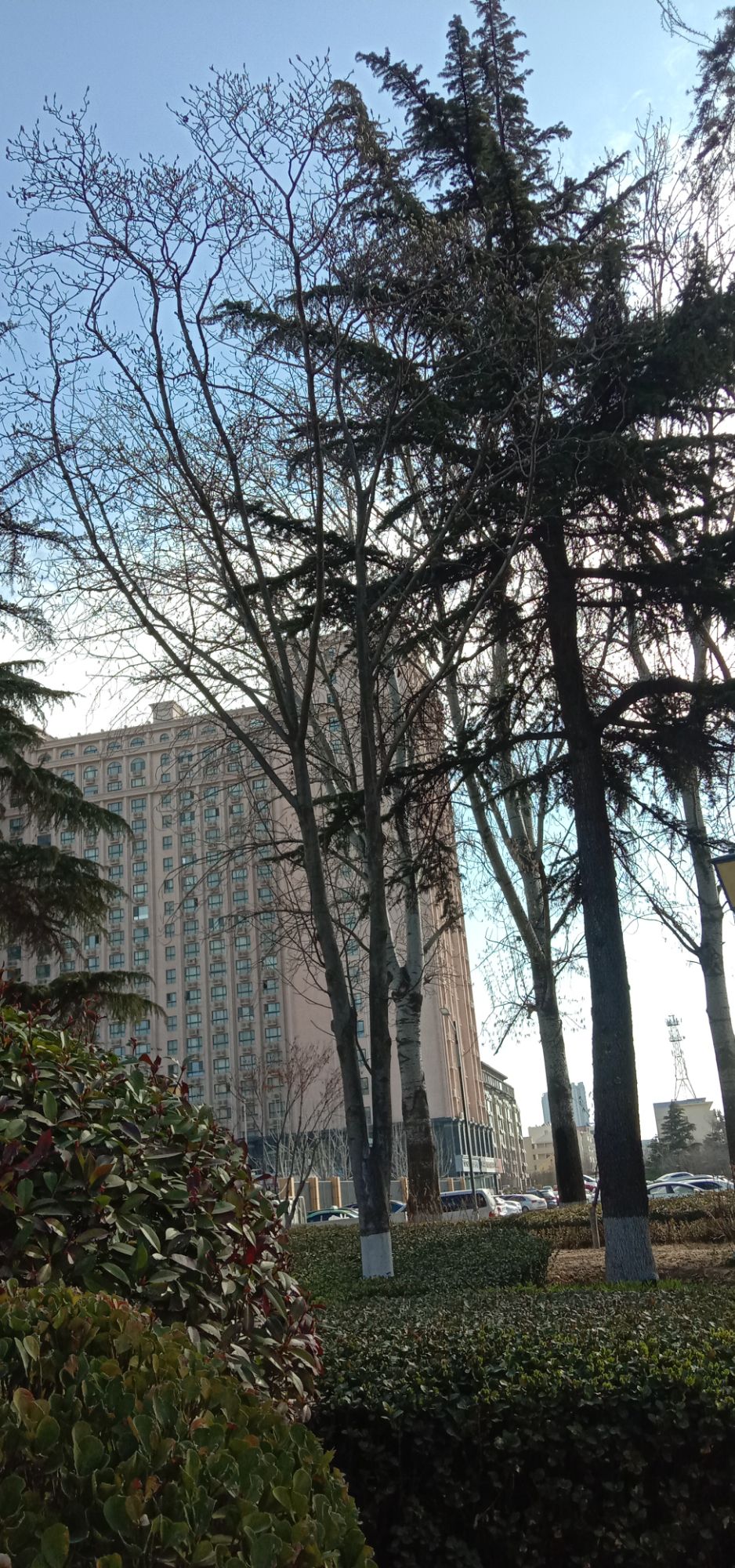 崇德公园旅行图片